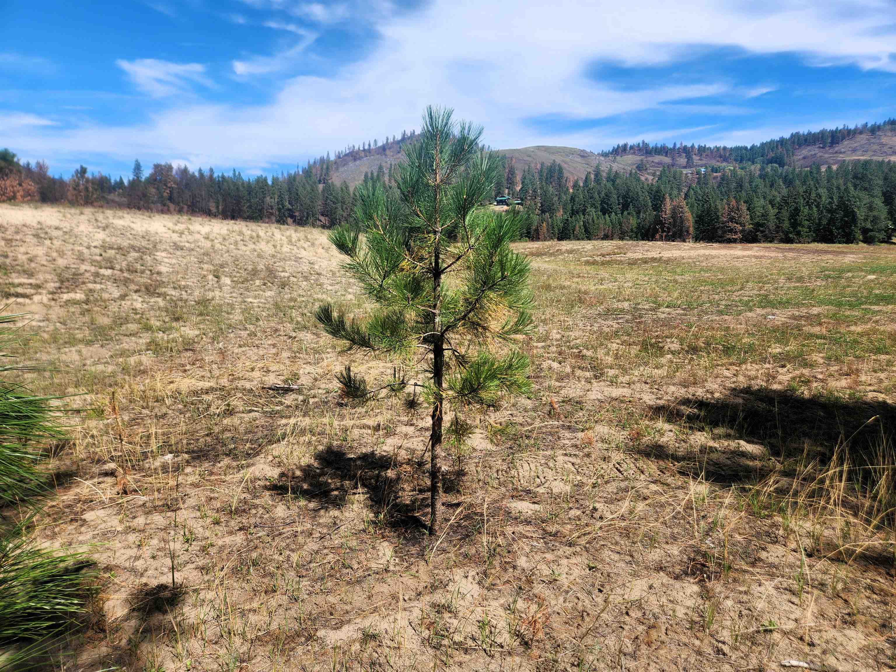 34XX Northport Flat Creek Rd - Photo 4
