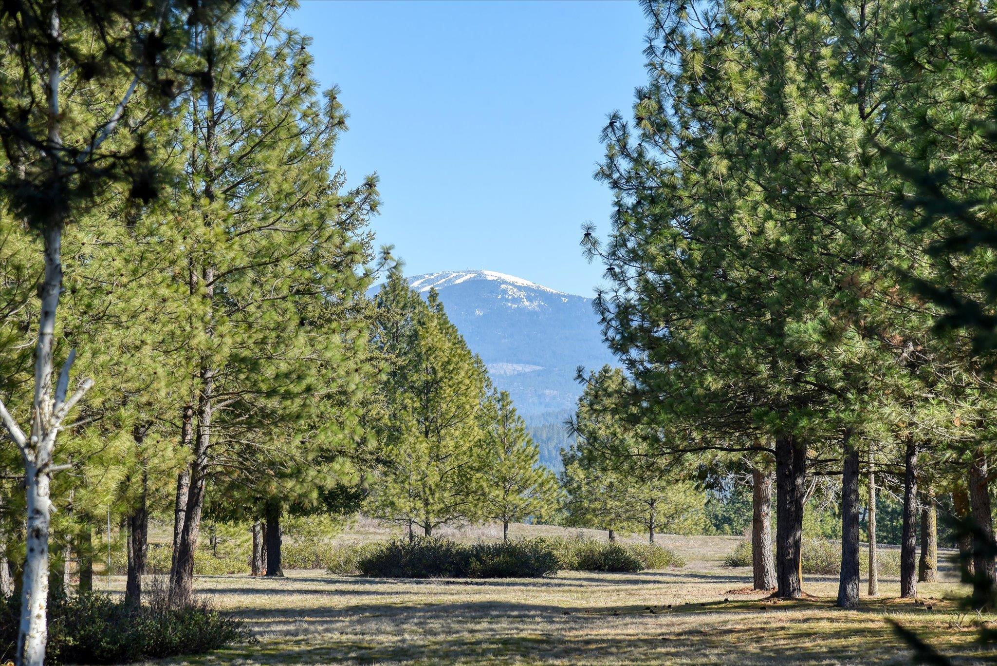 24616 N Wild Rose Ln - Photo 3