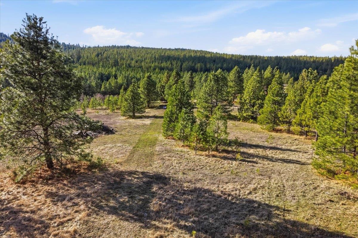 2625 S Stateline Rd - Photo 35