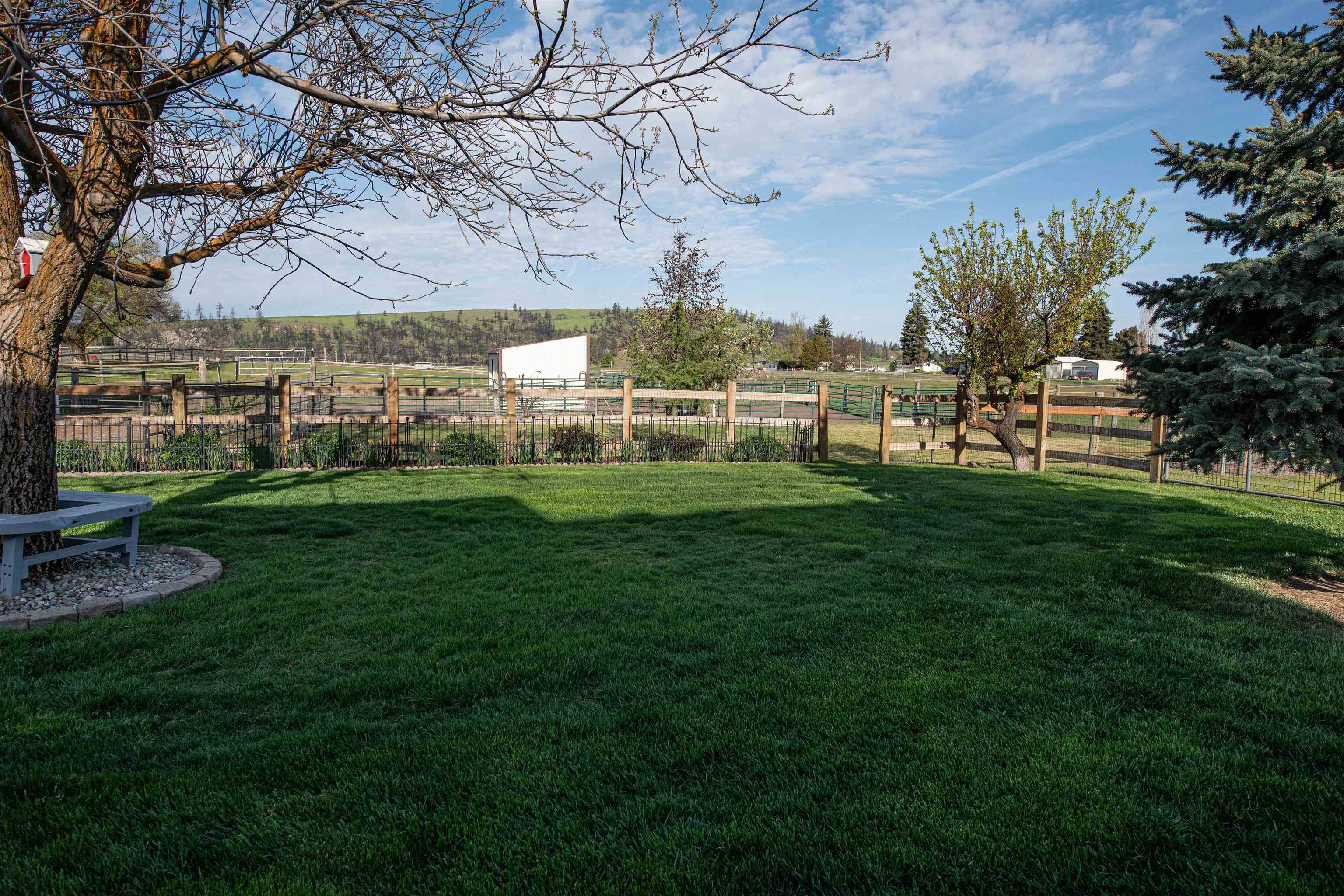 10101 S MURPHY Rd - Photo 5