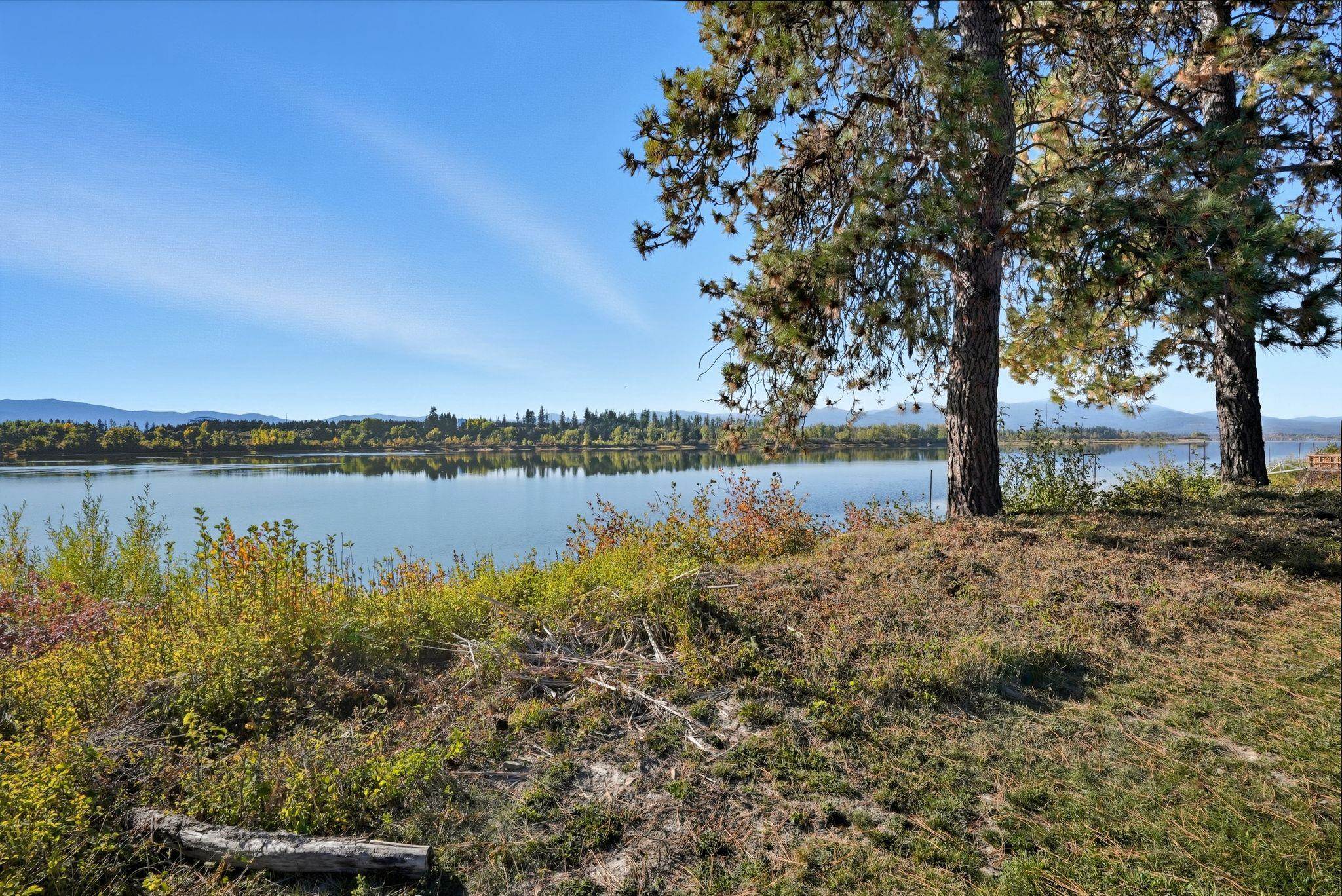 1475 Lenora Dr - Photo 7