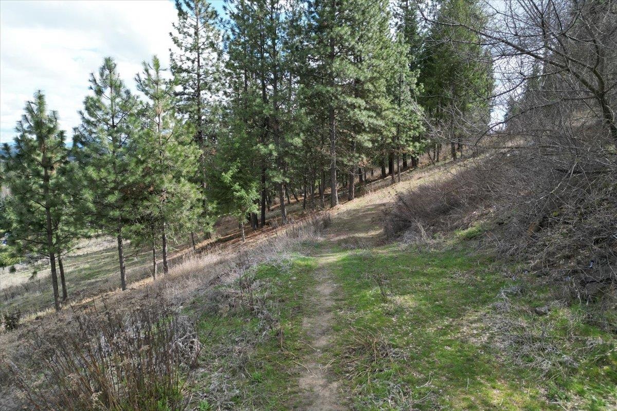1411 W Toni Rae Dr - Photo 2