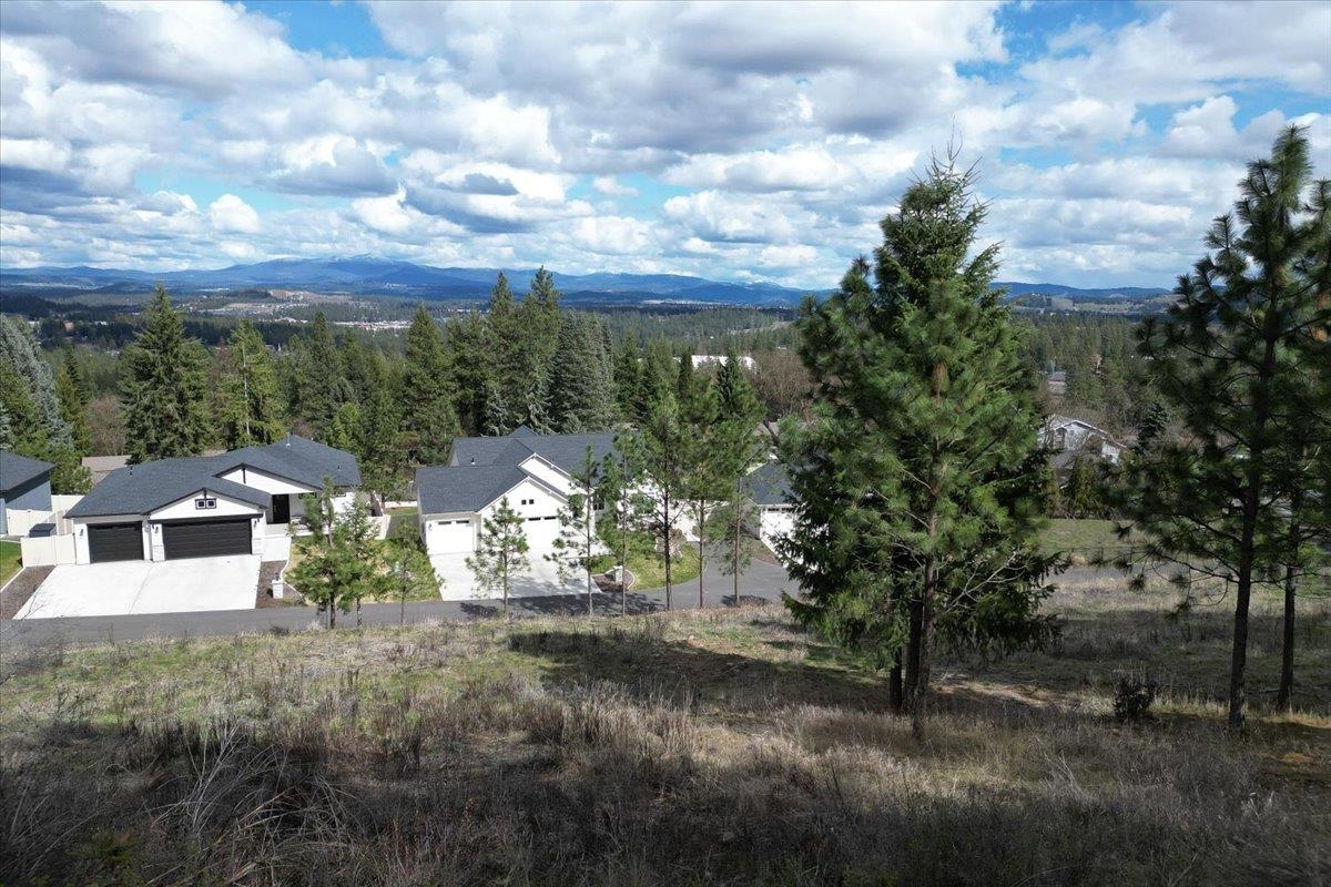 1411 W Toni Rae Dr - Photo 3