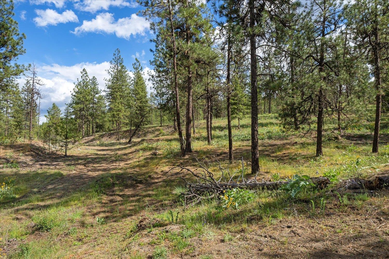 6405 W Trails Rd - Photo 17
