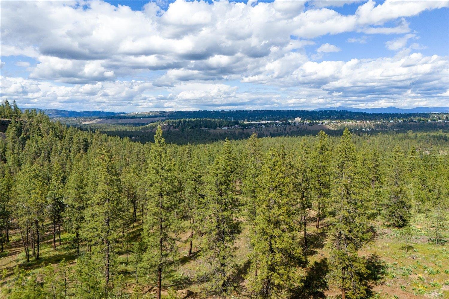 6405 W Trails Rd - Photo 18