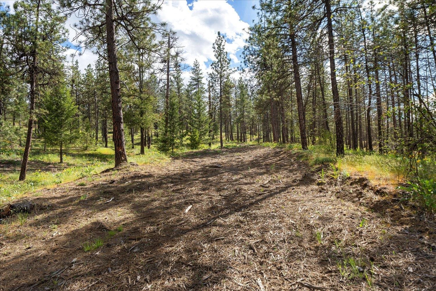 6405 W Trails Rd - Photo 22