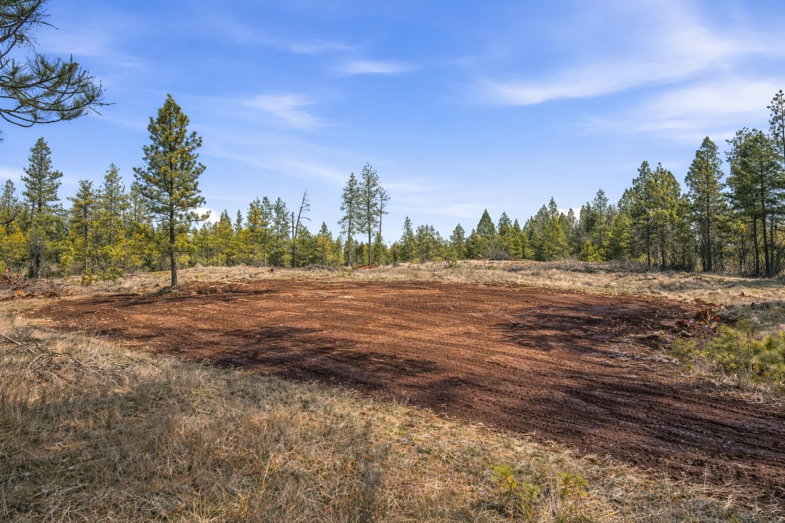 26216 W Carman Ln - Photo 43