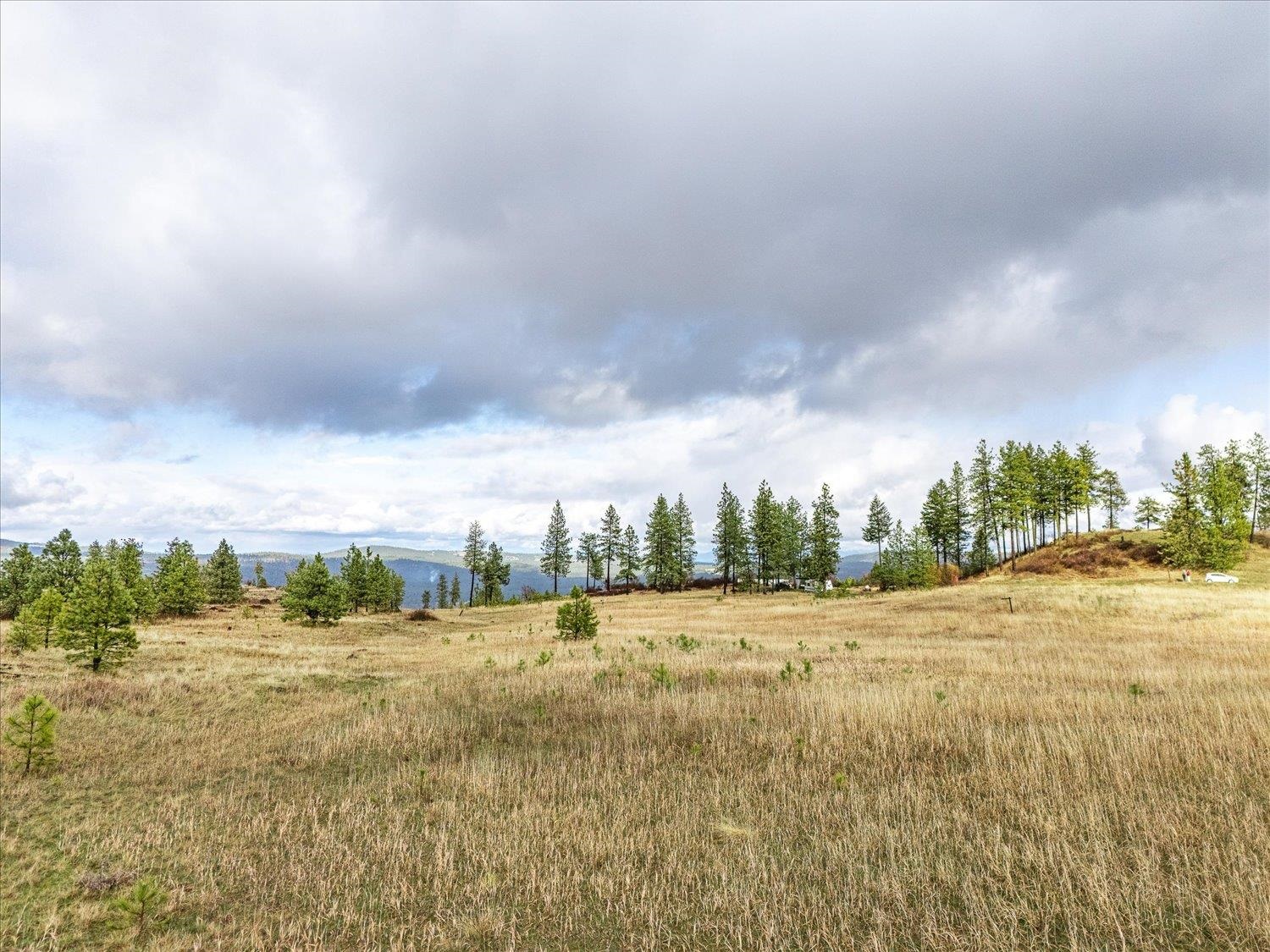 XX Petrichor Ln - Photo 8