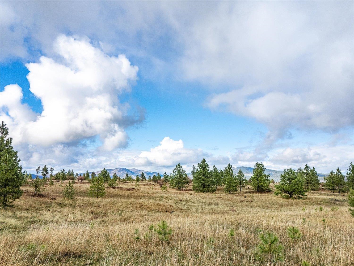 XX Petrichor Ln - Photo 10