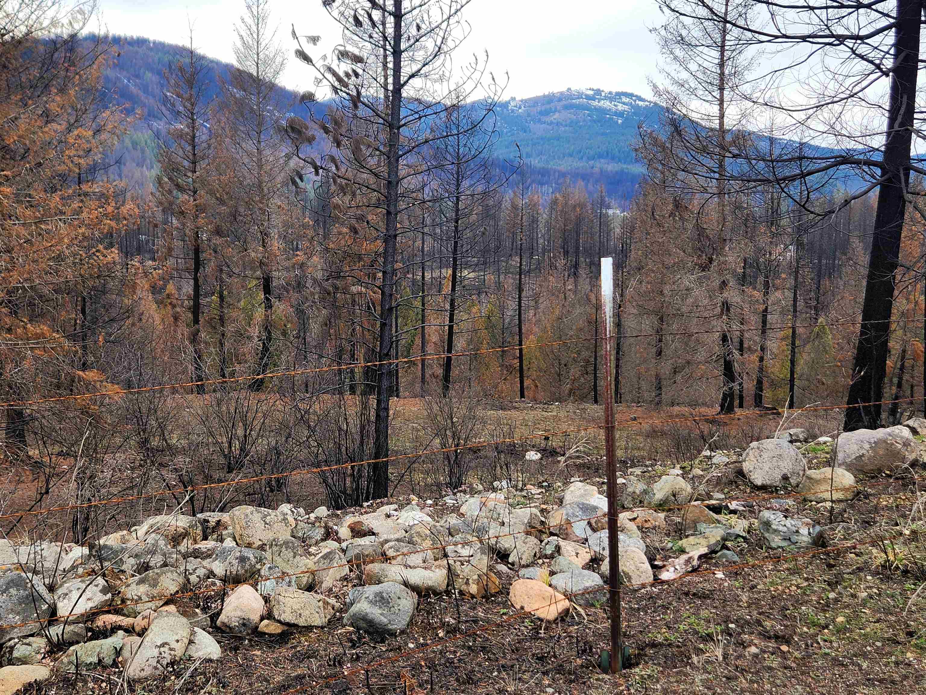 34XX Northport Flat Creek Rd - Photo 4