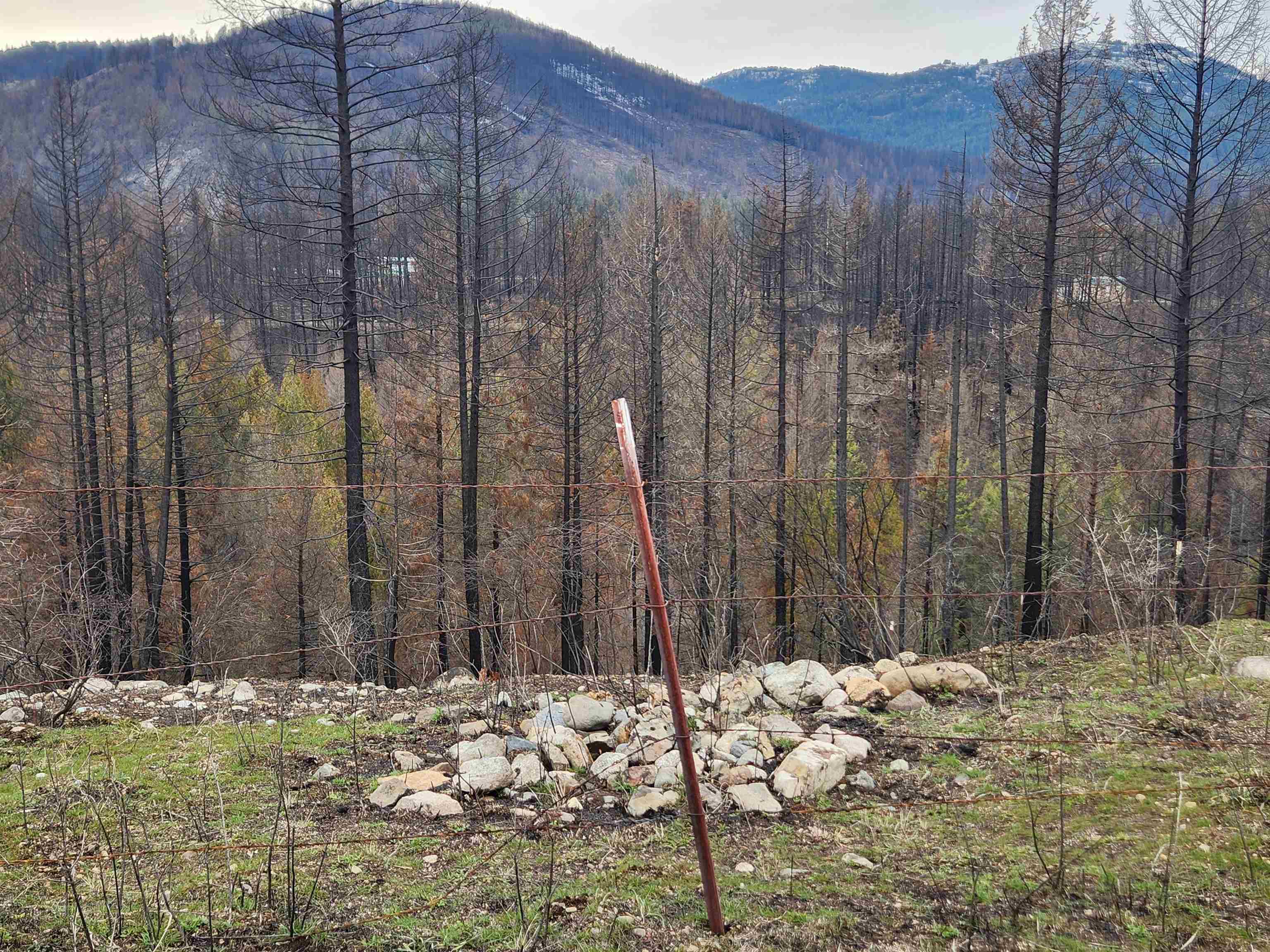 34XX Northport Flat Creek Rd - Photo 5