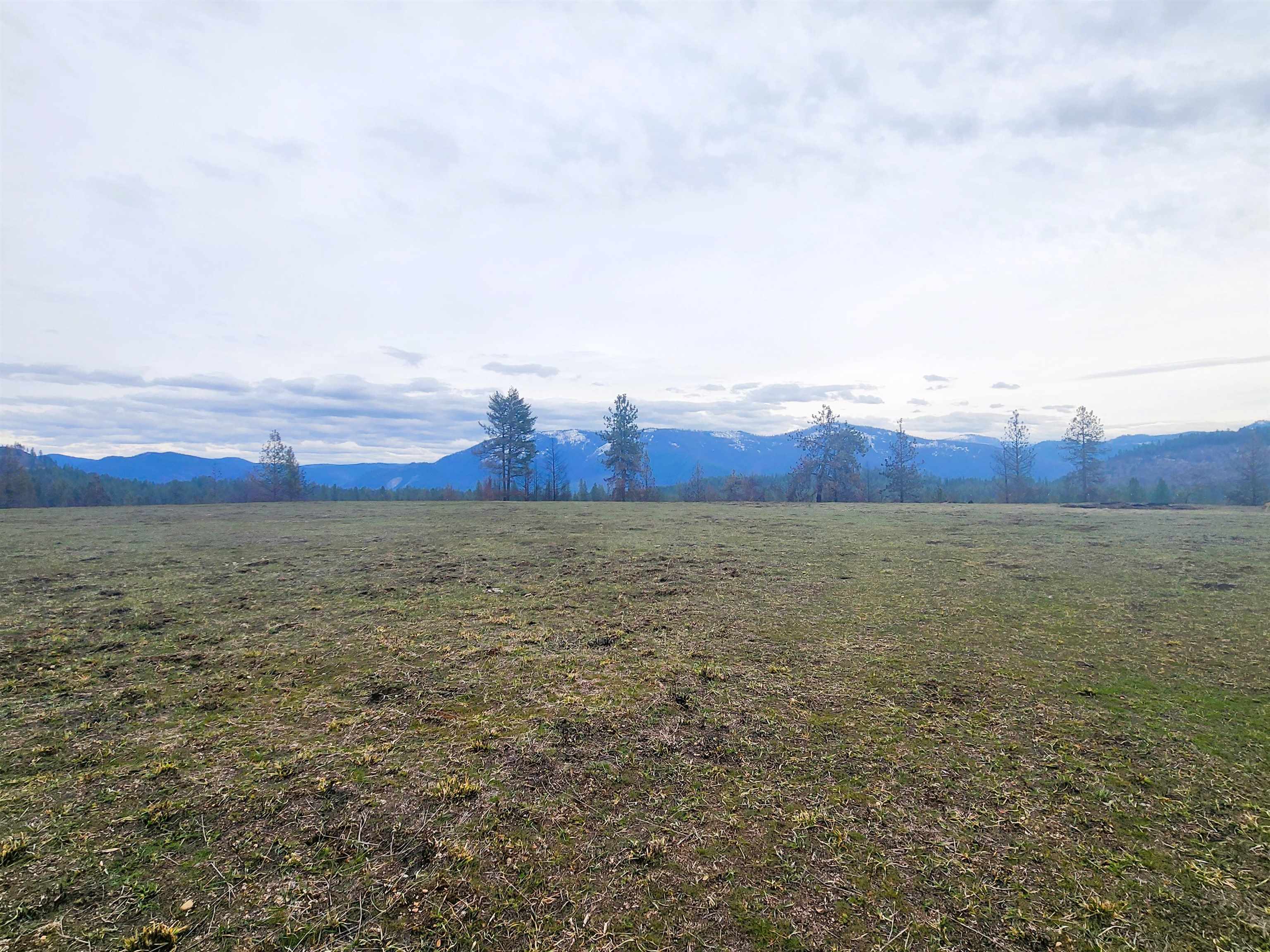 34XX Northport Flat Creek Rd - Photo 8