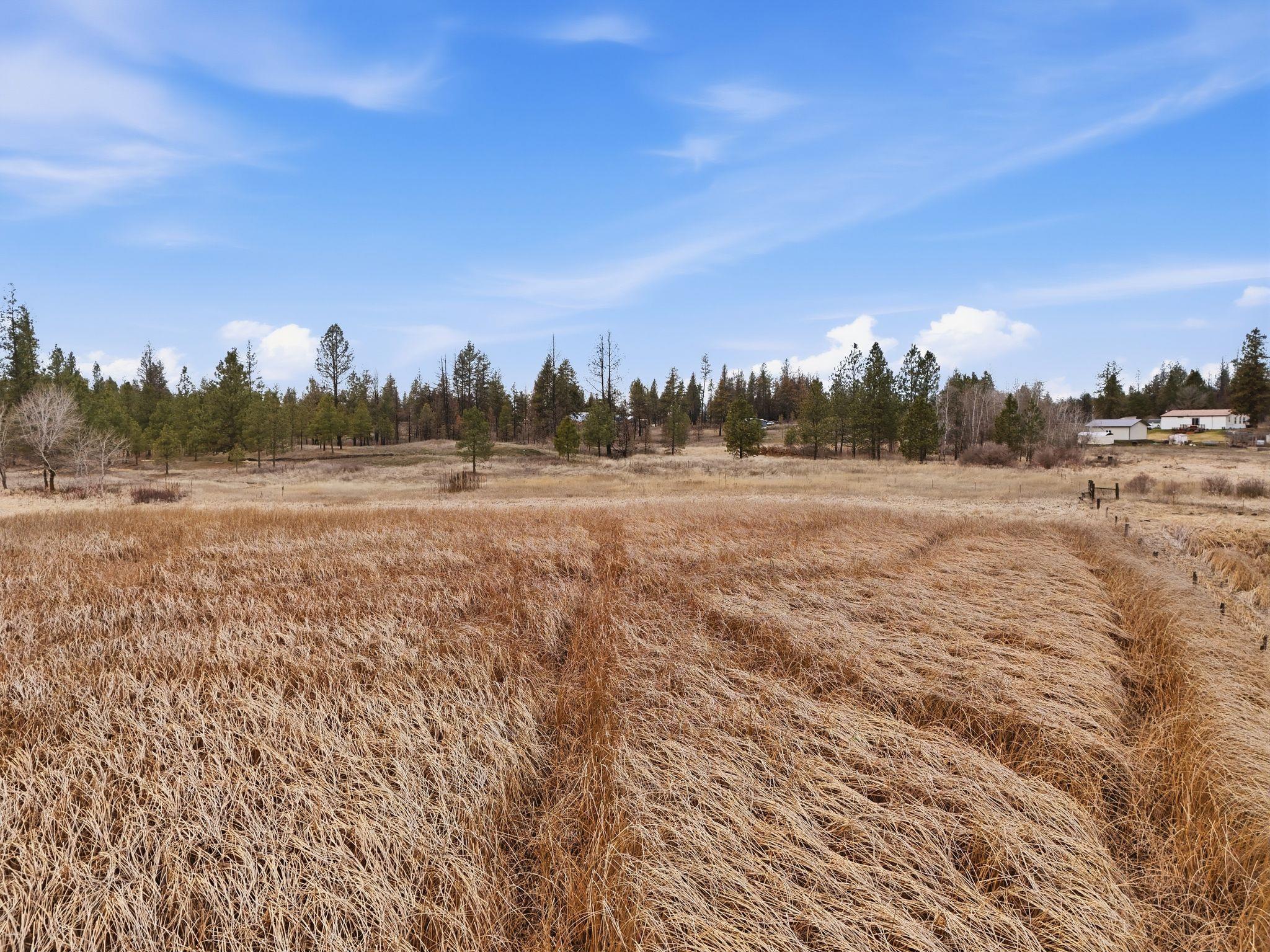25224 S Carman Rd - Photo 23