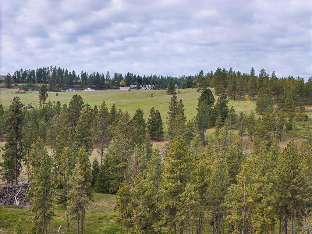 22XX Miller Rd - Photo 16