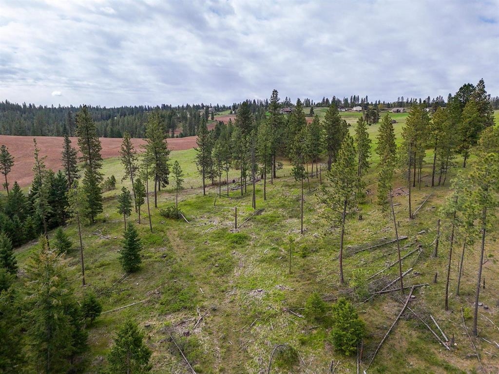 22XX Miller Rd - Photo 17