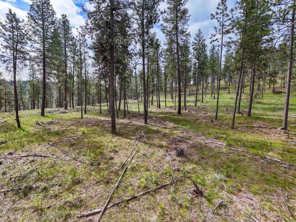 22XX Miller Rd - Photo 26