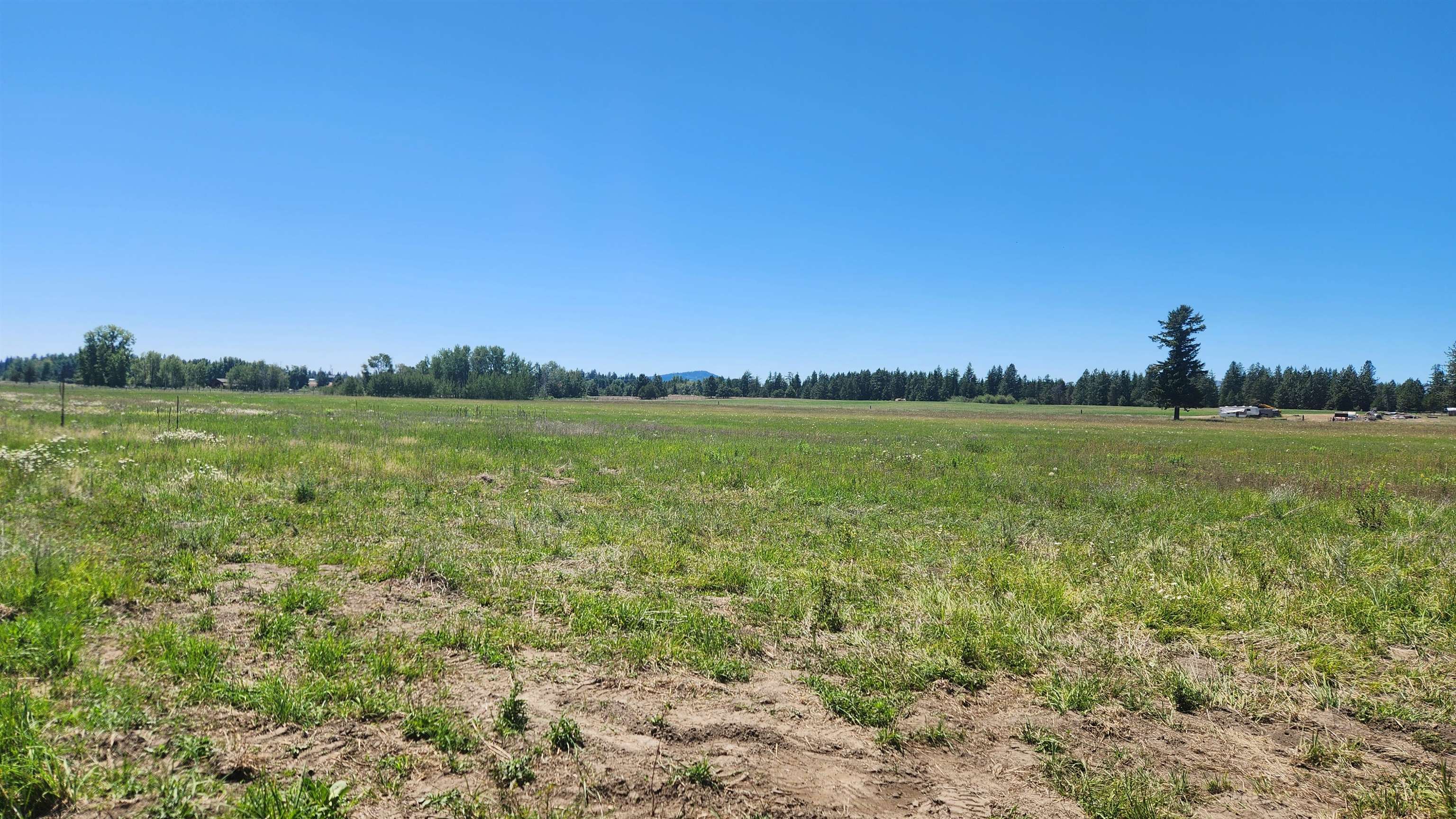 0000 W Enoch Rd - Photo 12