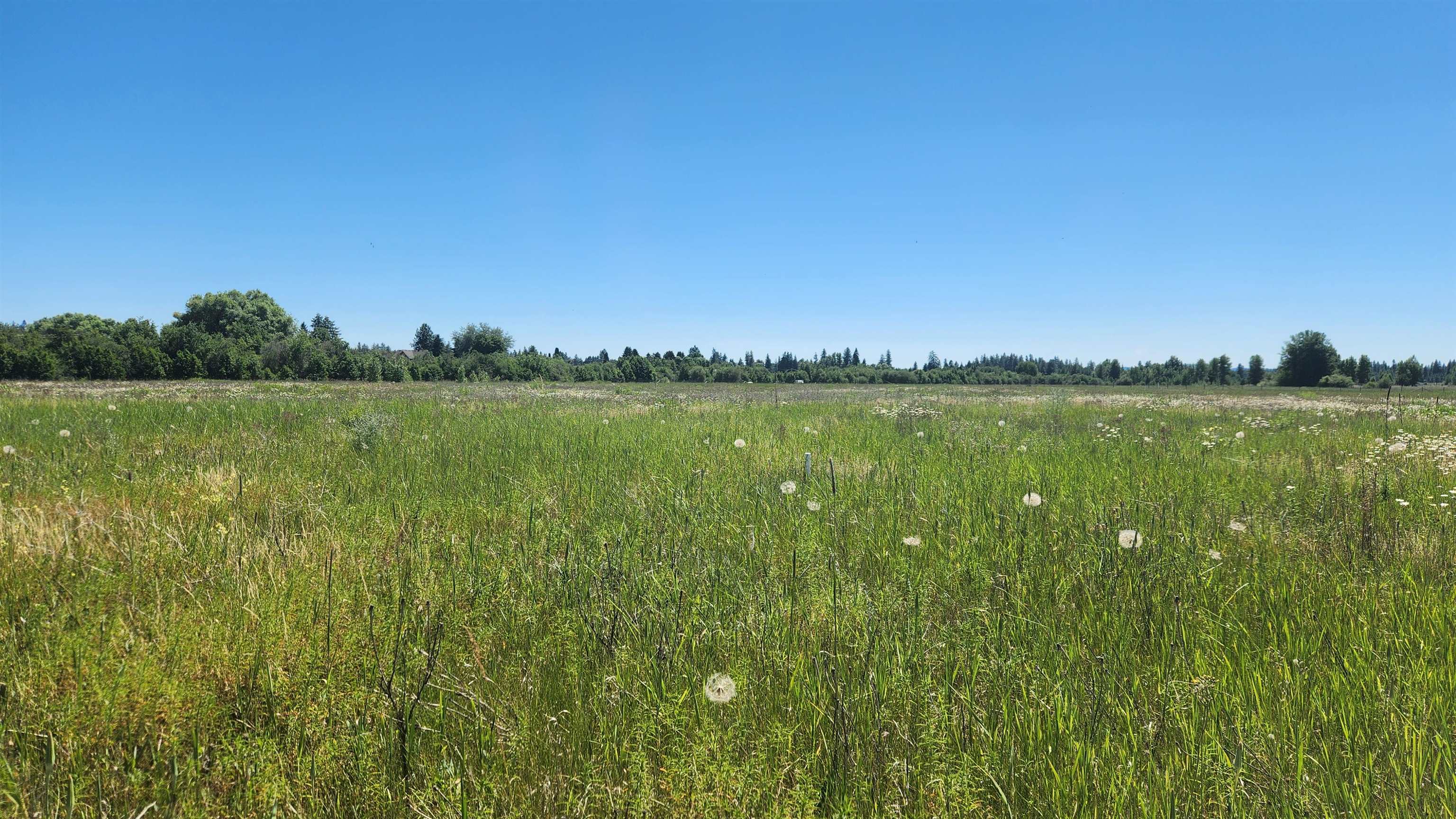 0000 W Enoch Rd - Photo 13
