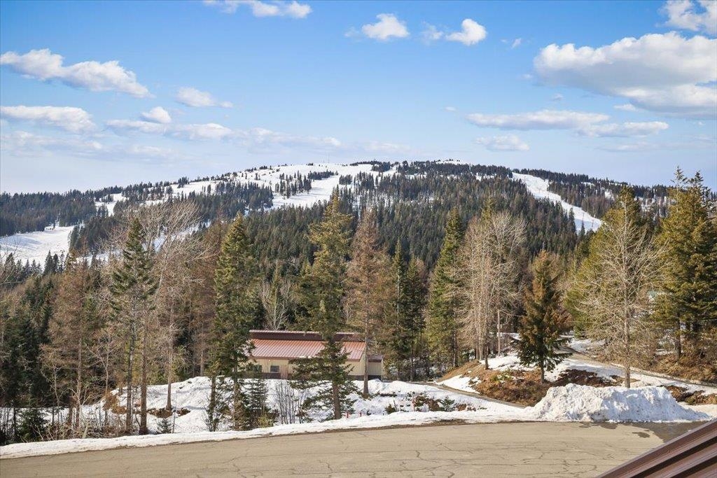 28600 N Mount Spokane Park Dr - Photo 13