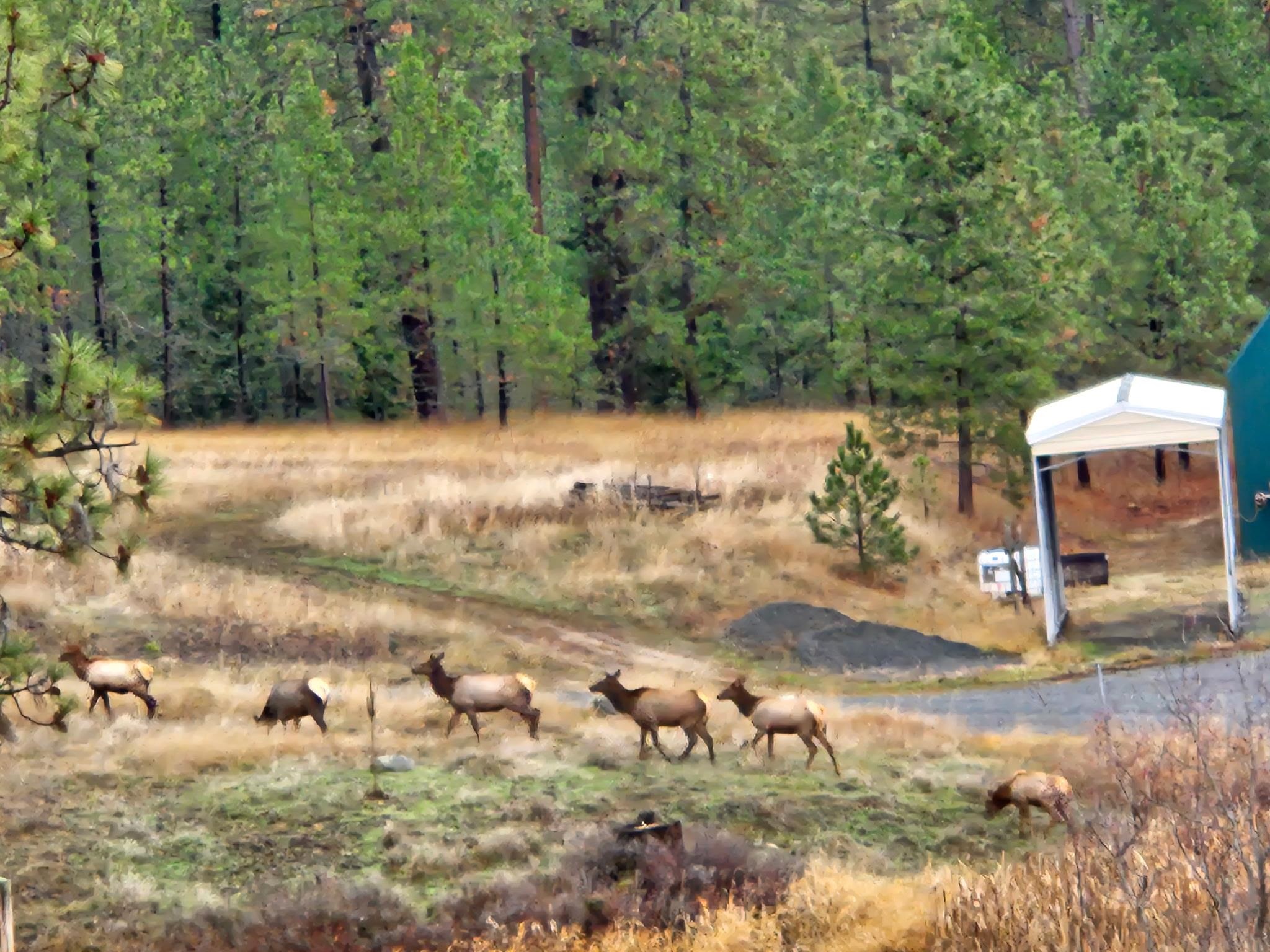 1076 Starvation Lake Rd - Photo 49