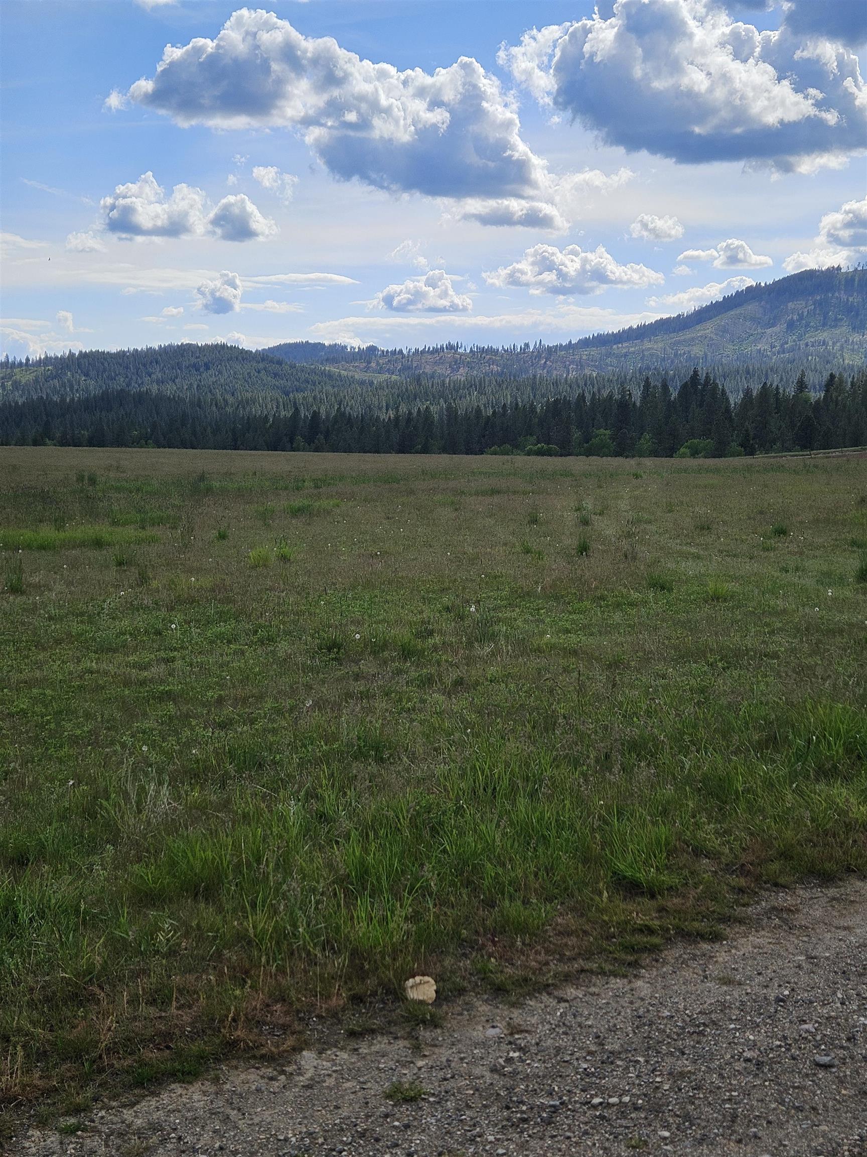 52xx Wagner Lot C Rd - Photo 12