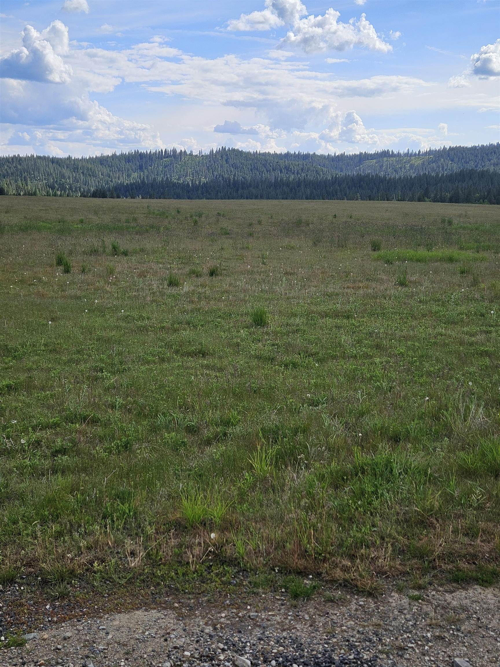 52xx Wagner Lot C Rd - Photo 17