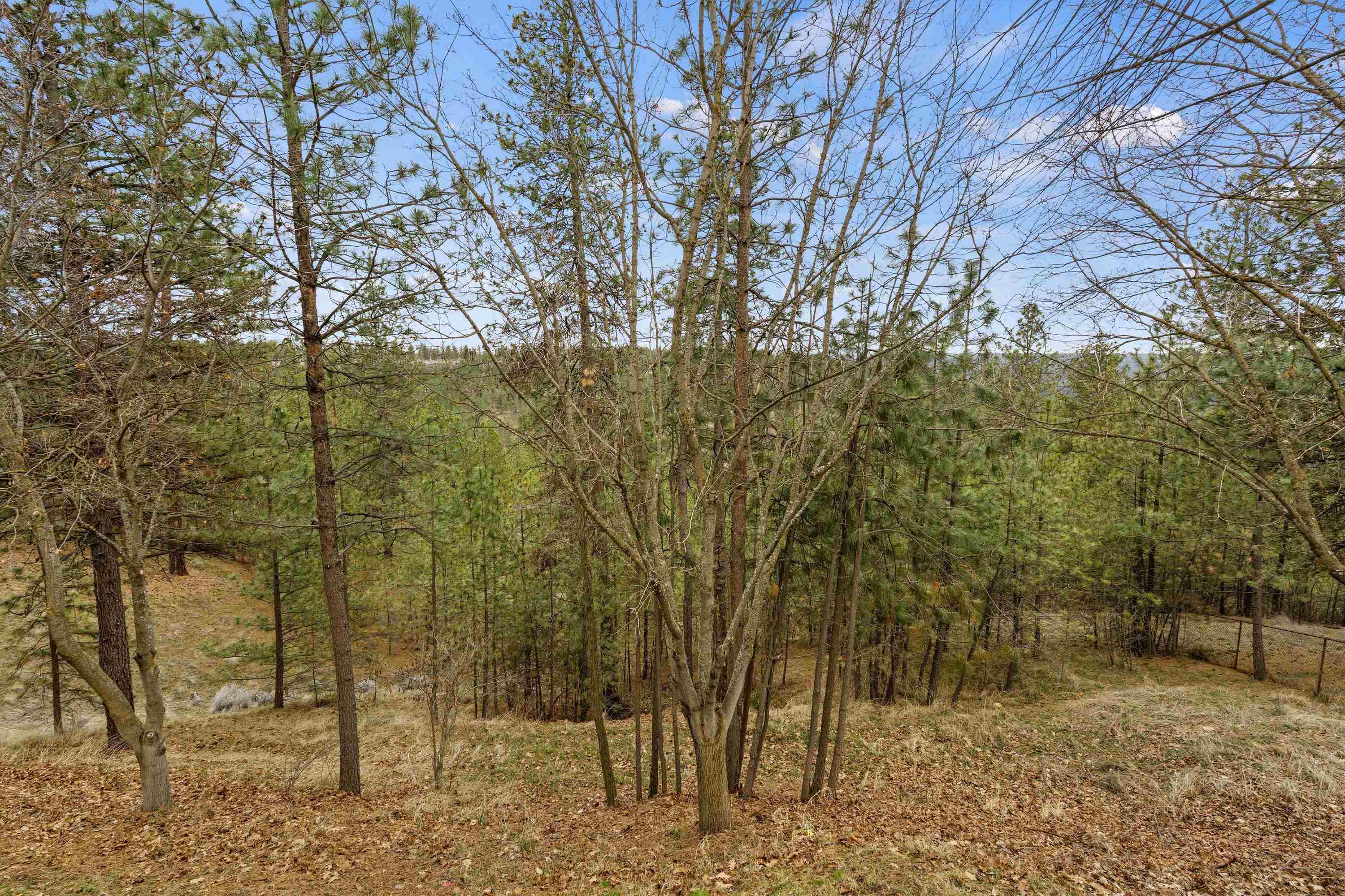 1525 E Westminster Ln - Photo 41