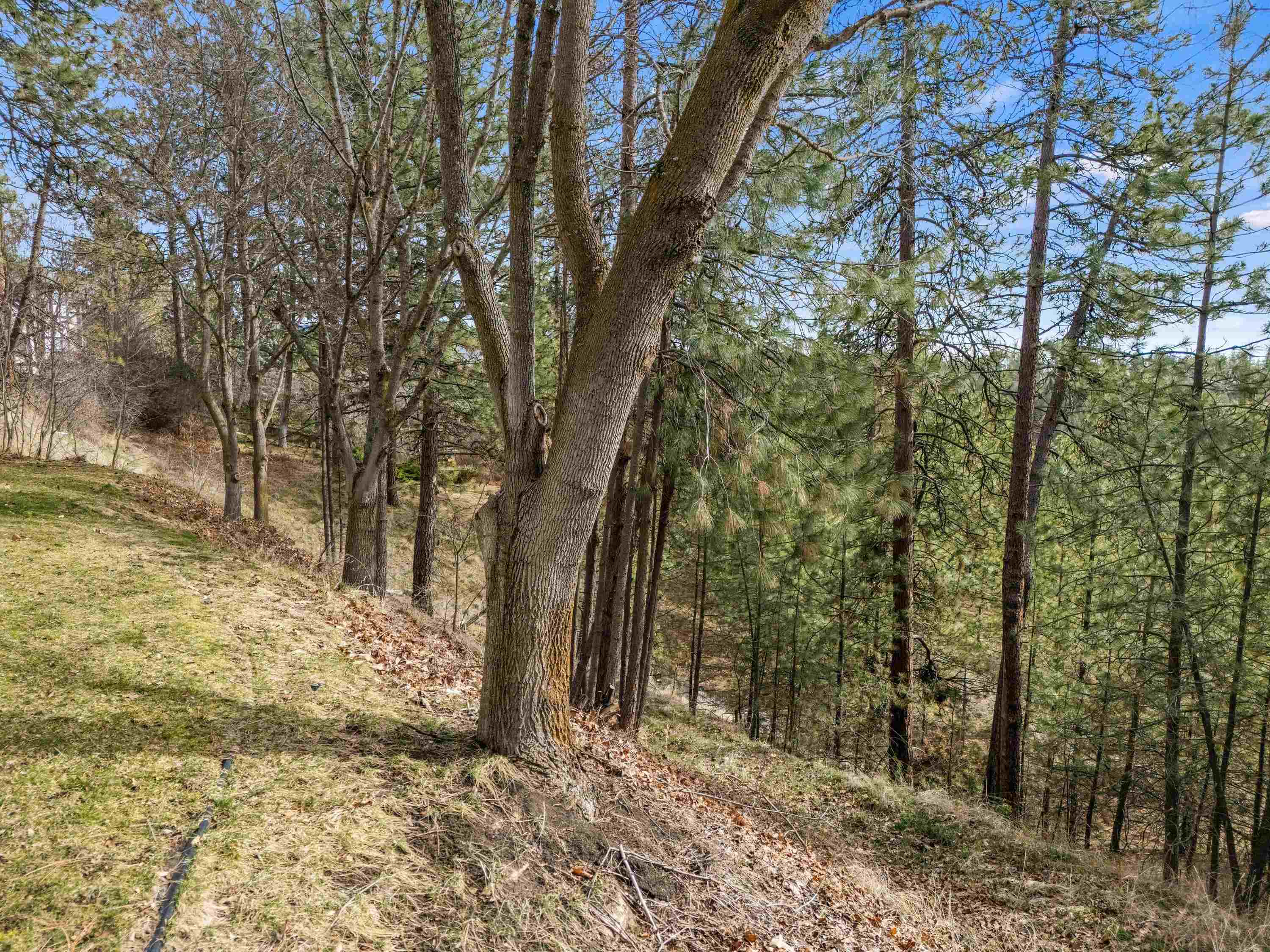 1525 E Westminster Ln - Photo 42