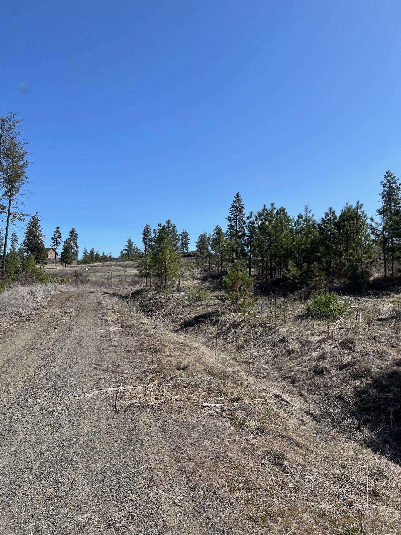 Parcel 3 Pine Hen Ln - Photo 18
