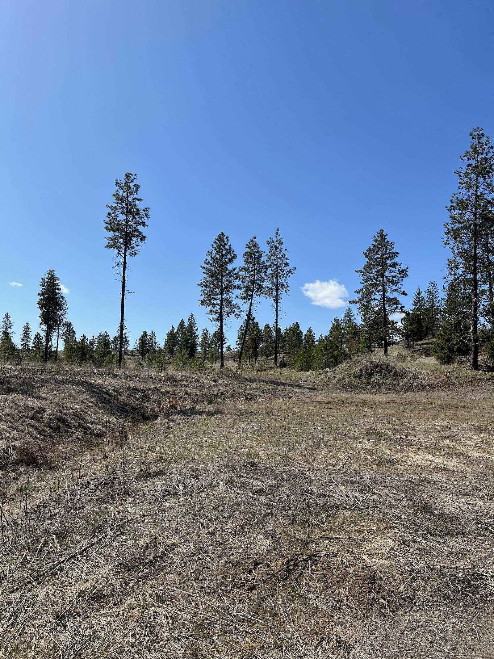 Parcel 3 Pine Hen Ln - Photo 21