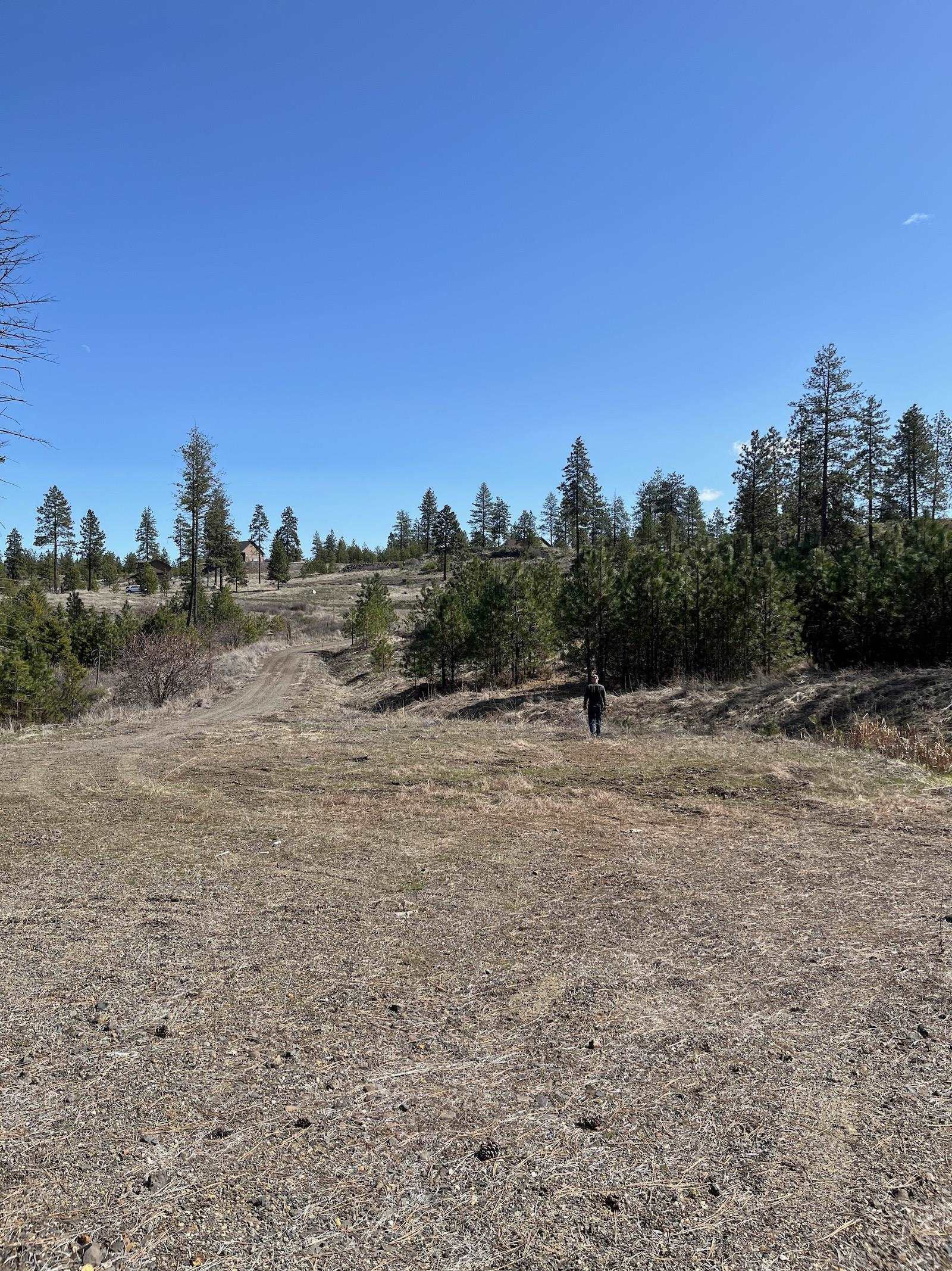 Parcel 3 Pine Hen Ln - Photo 22