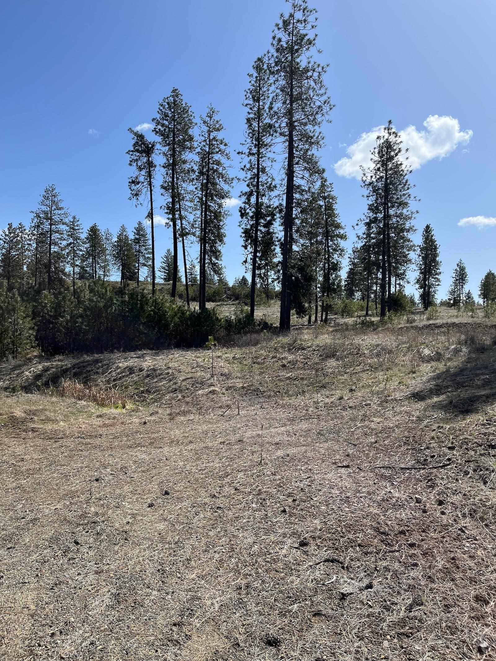 Parcel 3 Pine Hen Ln - Photo 23