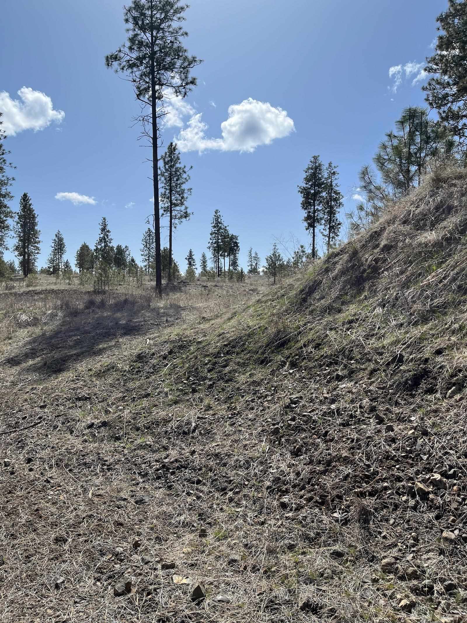Parcel 3 Pine Hen Ln - Photo 24