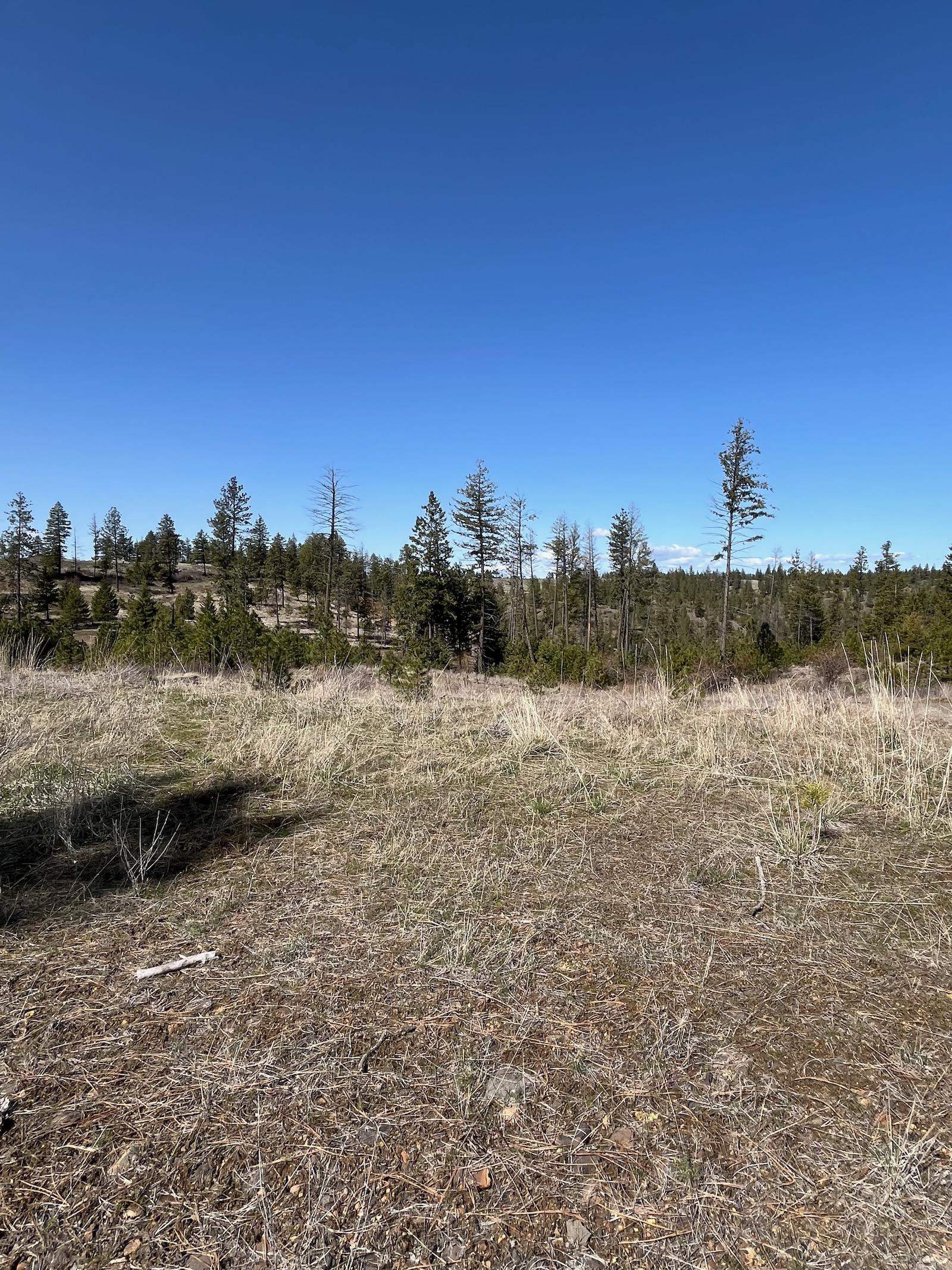 Parcel 3 Pine Hen Ln - Photo 4