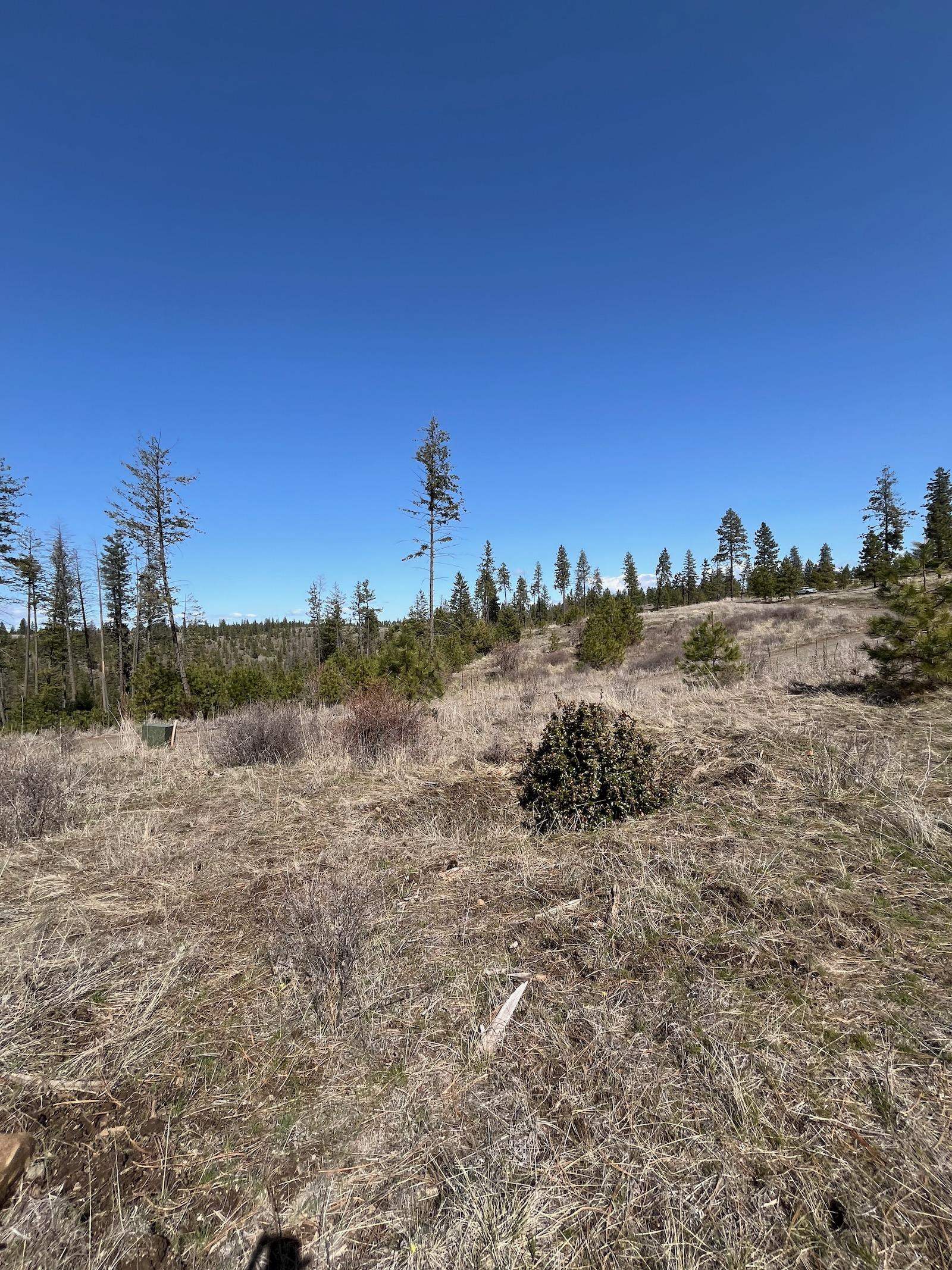 Parcel 3 Pine Hen Ln - Photo 9