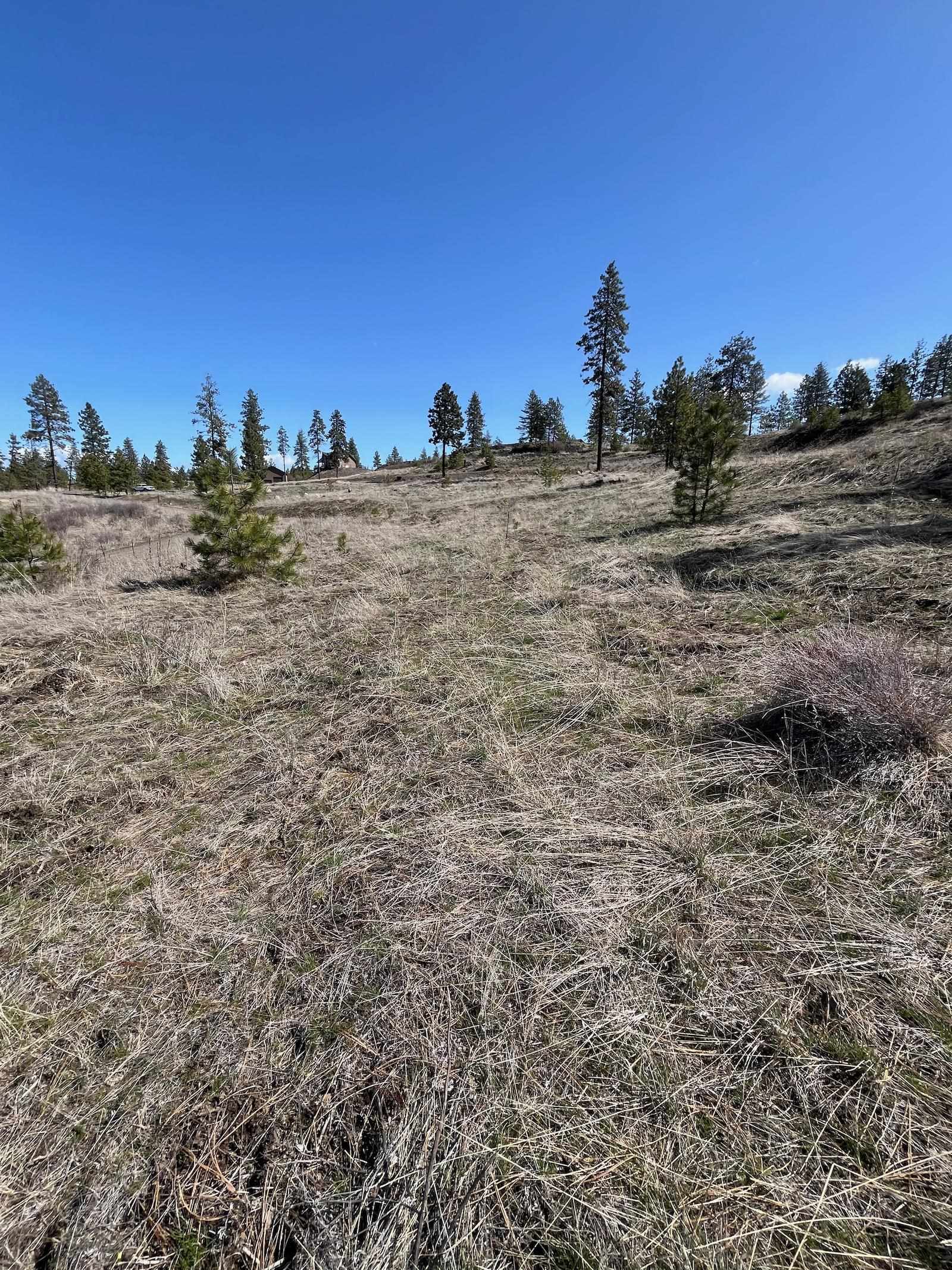 Parcel 3 Pine Hen Ln - Photo 10