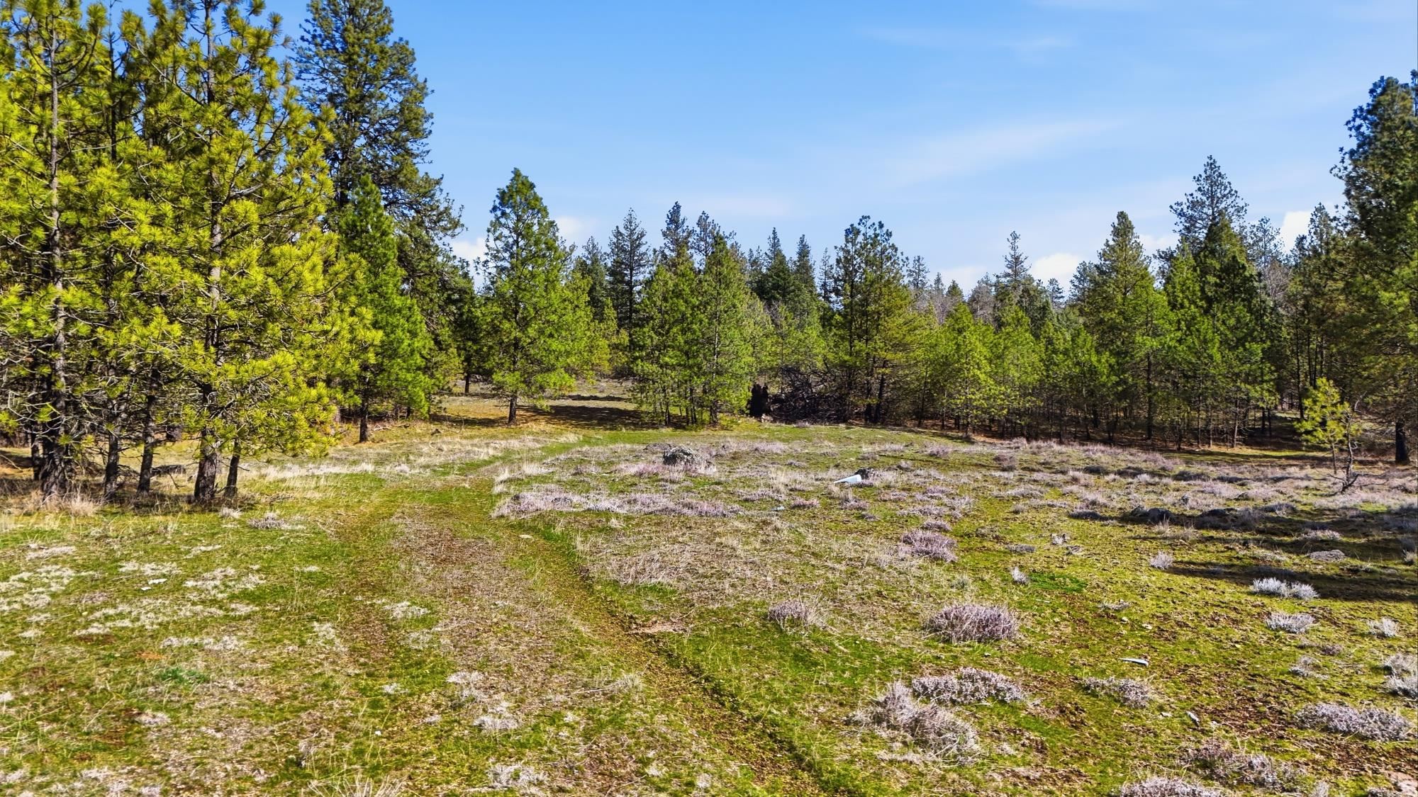 11300 S Stangland Rd - Photo 12