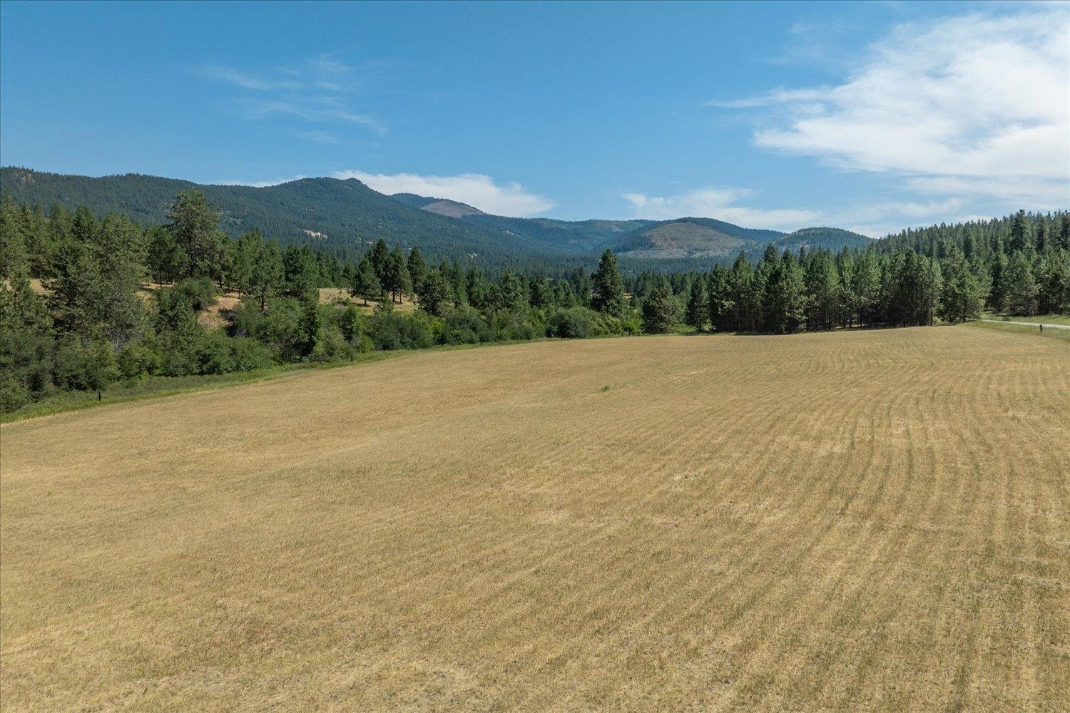 1424 N Idaho Rd - Photo 48