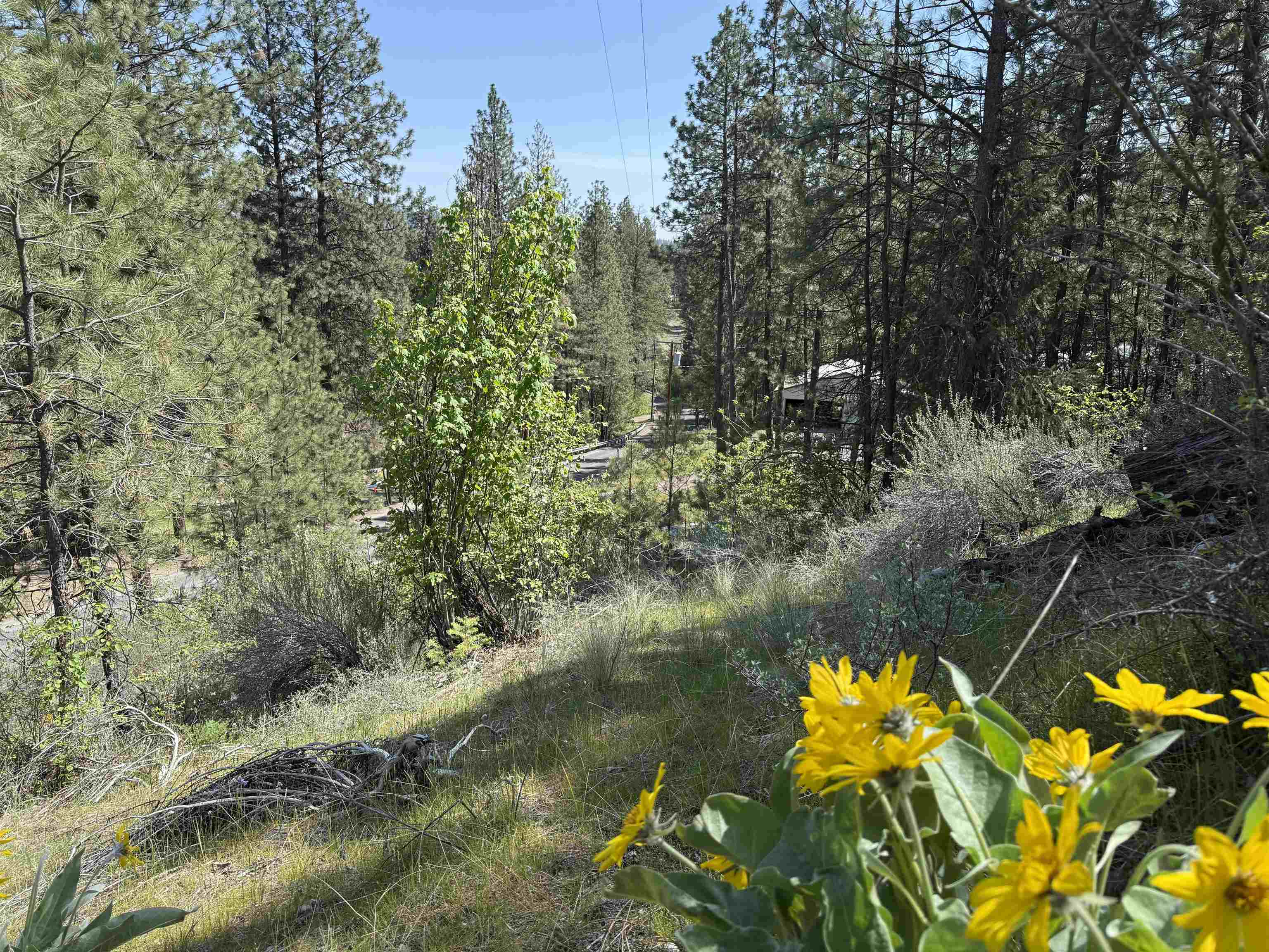 42078 N Porcupine Bay Rd - Photo 16