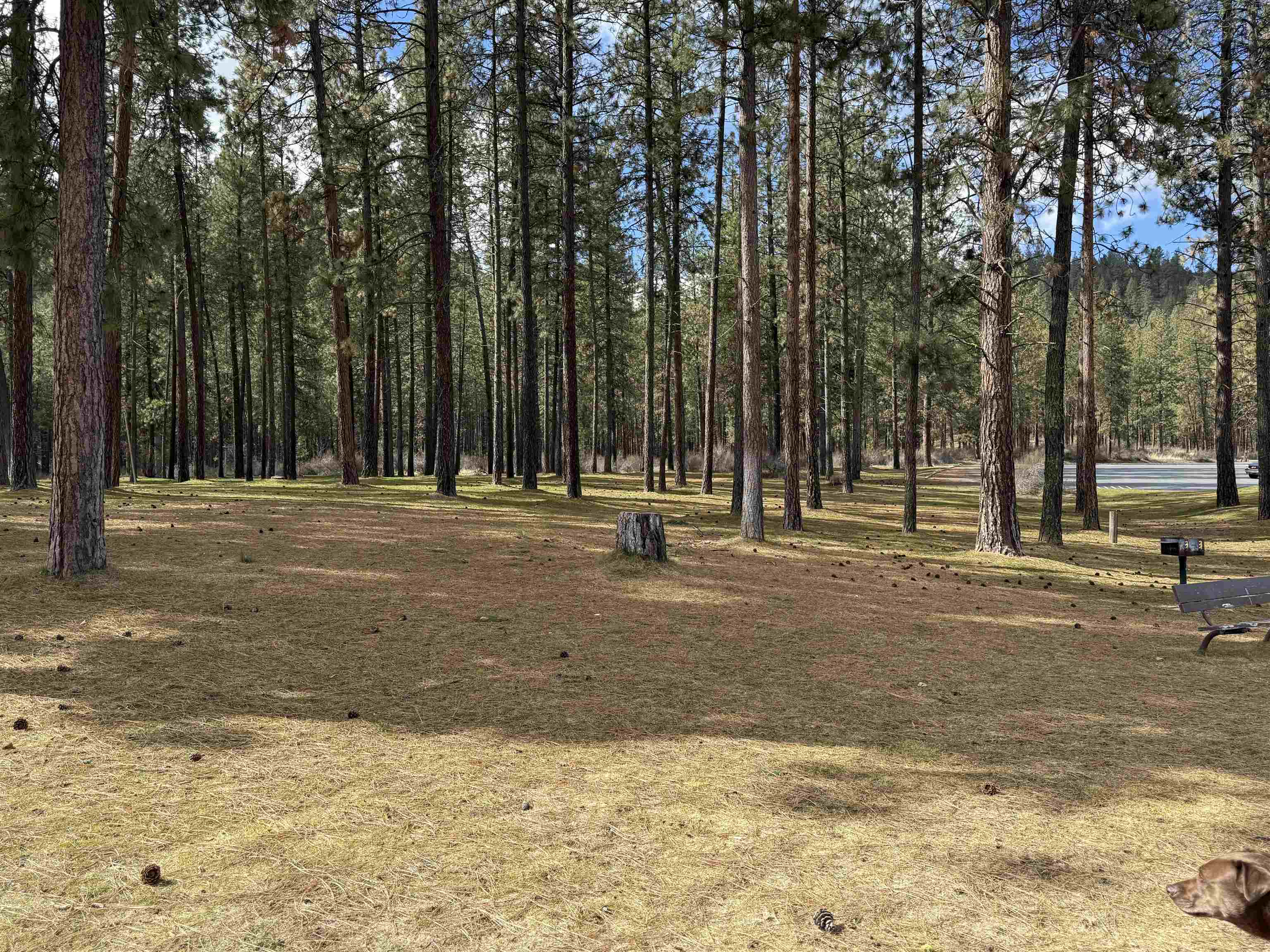 42078 N Porcupine Bay Rd - Photo 20