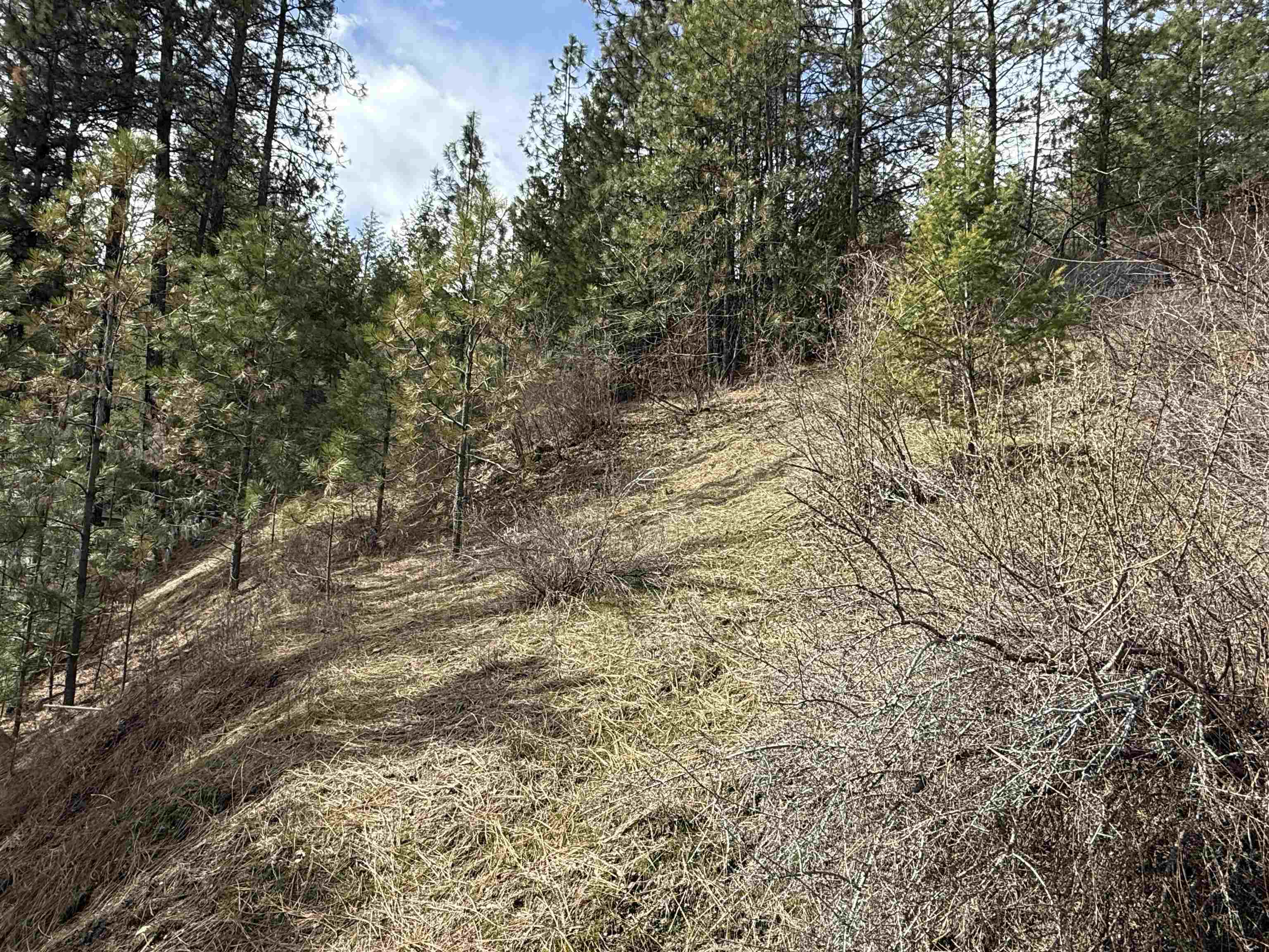 42078 N Porcupine Bay Rd - Photo 26