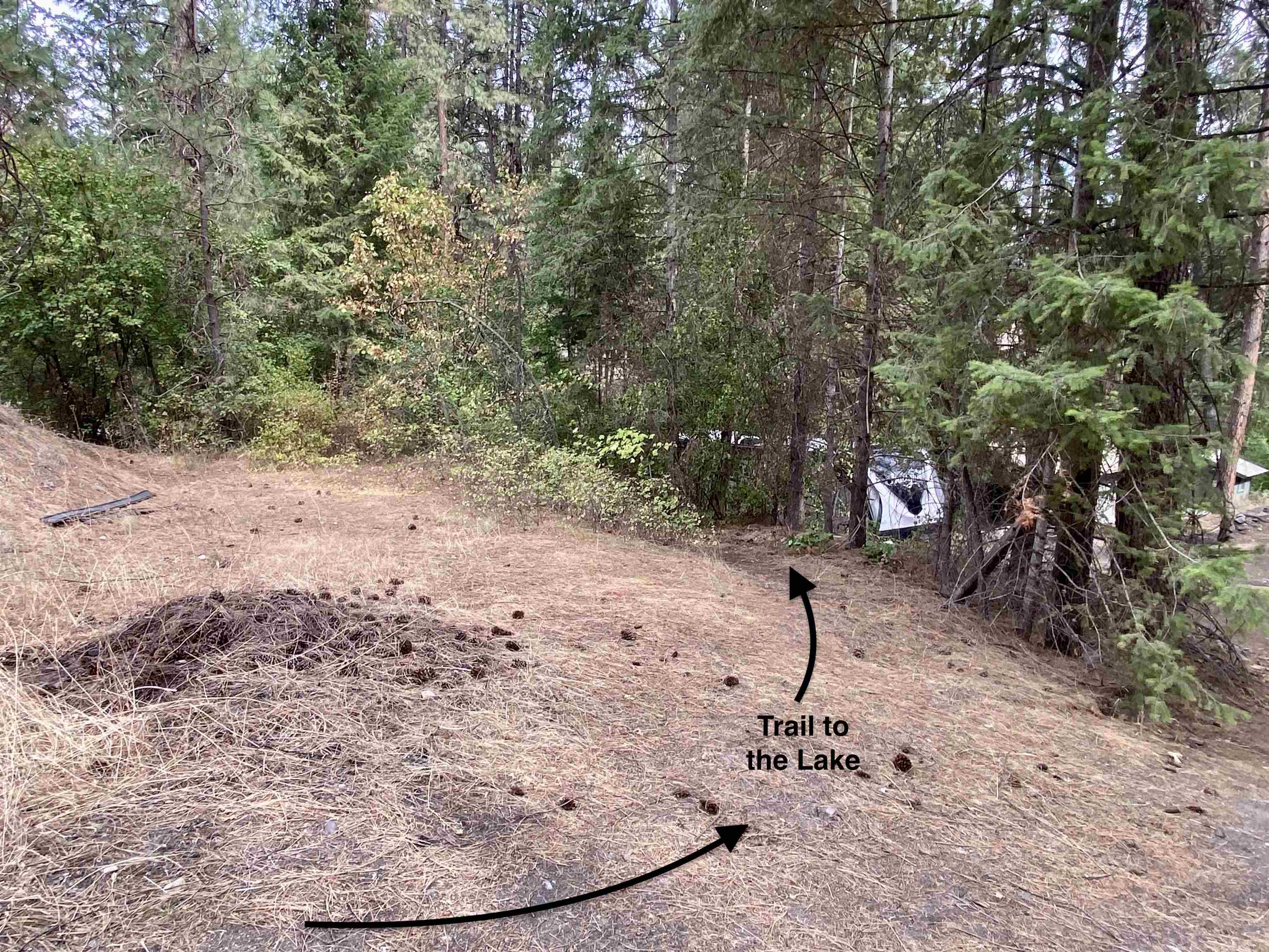 42078 N Porcupine Bay Rd - Photo 37