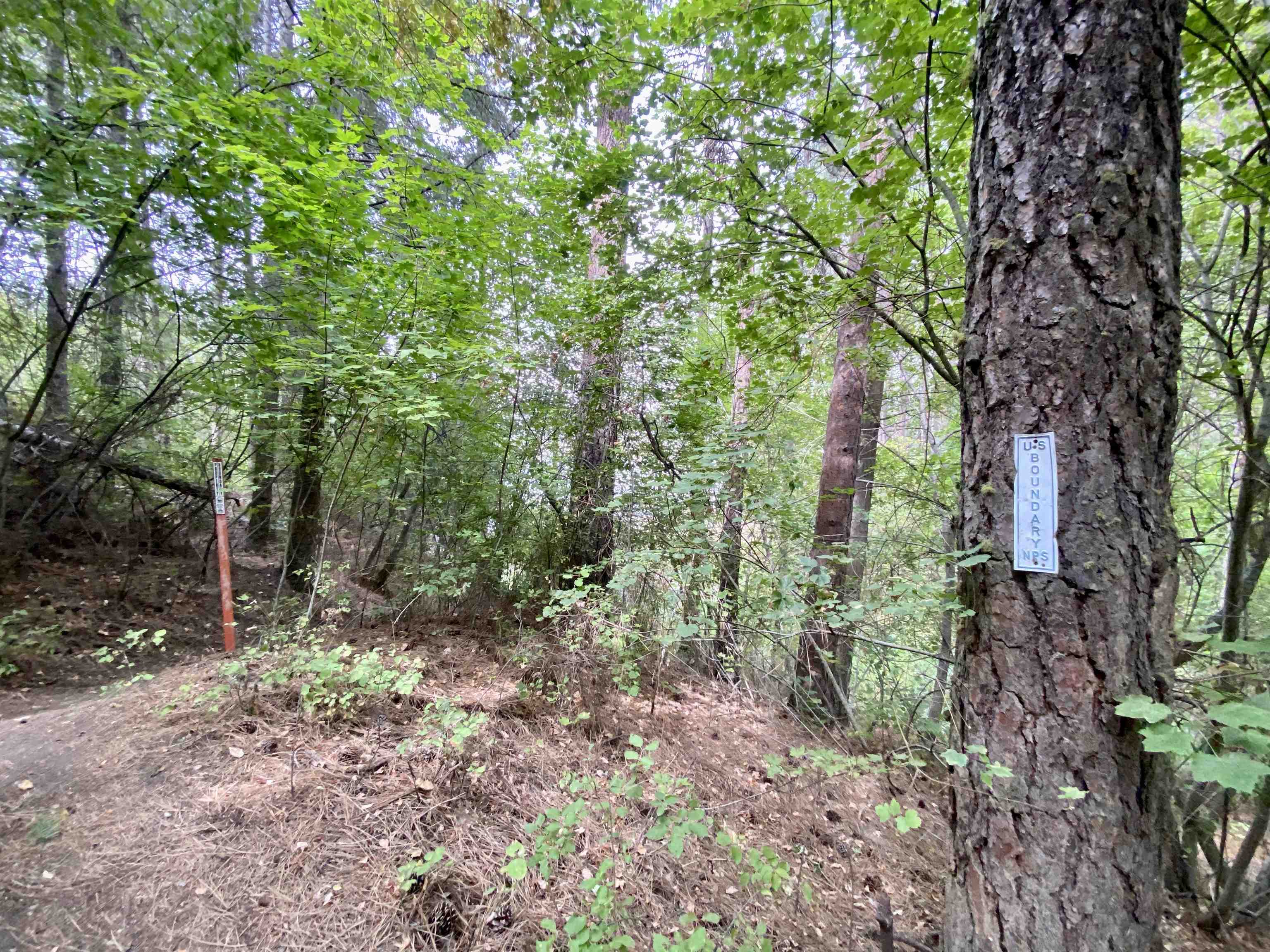 42078 N Porcupine Bay Rd - Photo 38