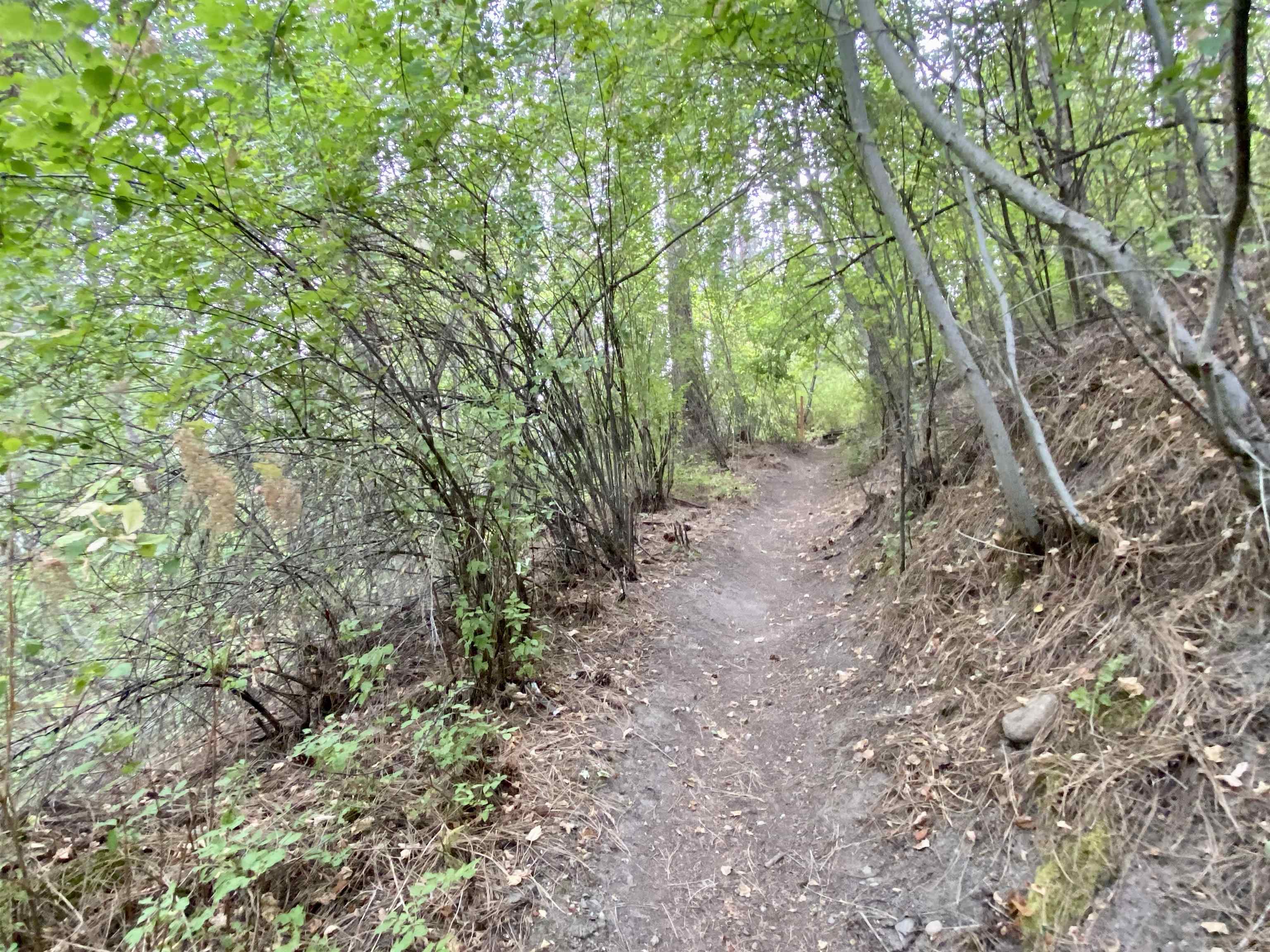 42078 N Porcupine Bay Rd - Photo 40