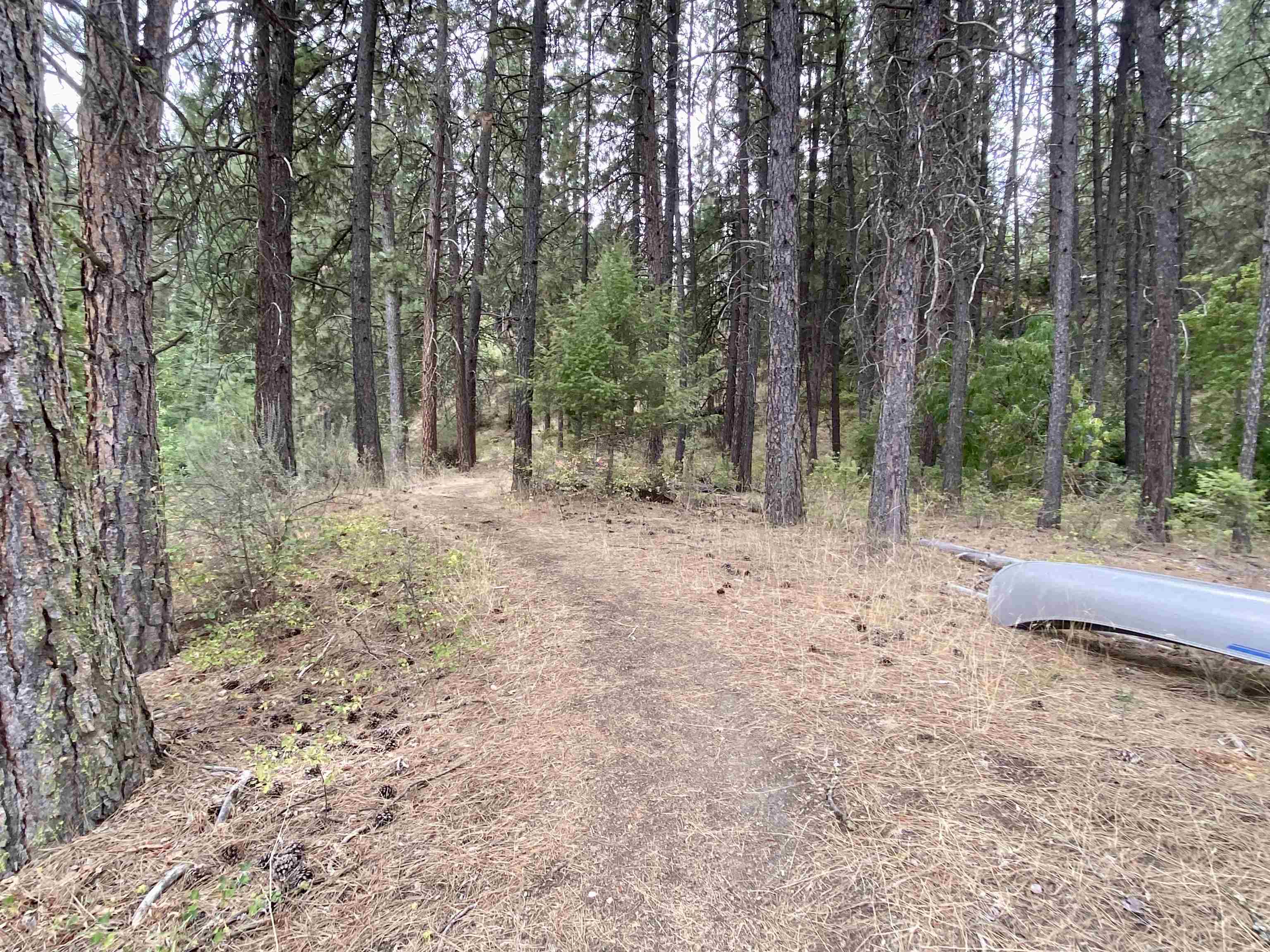 42078 N Porcupine Bay Rd - Photo 41