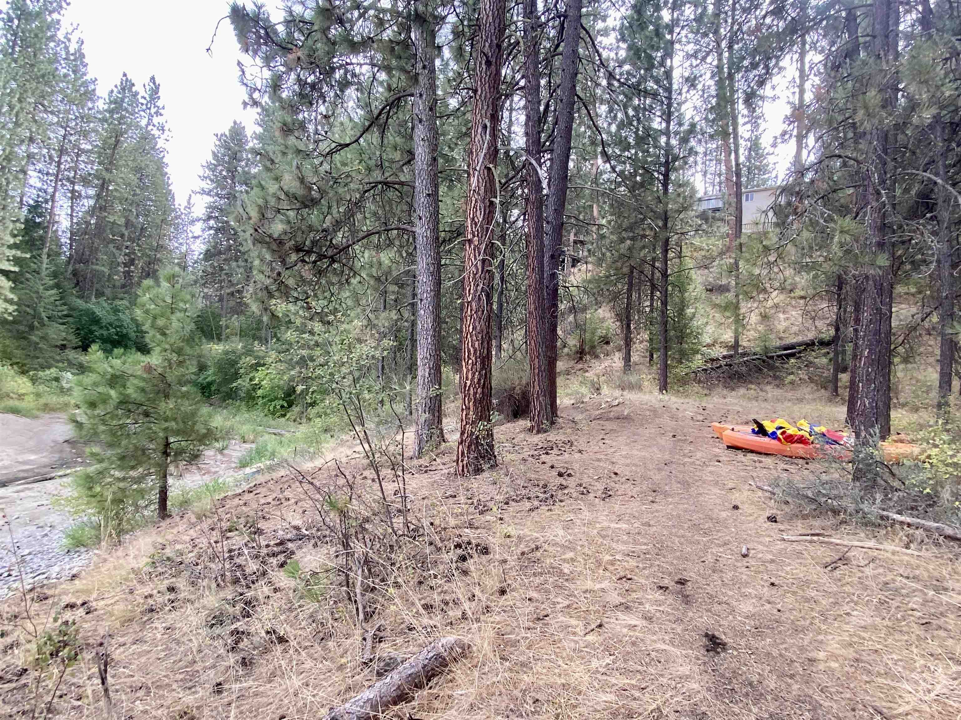 42078 N Porcupine Bay Rd - Photo 42