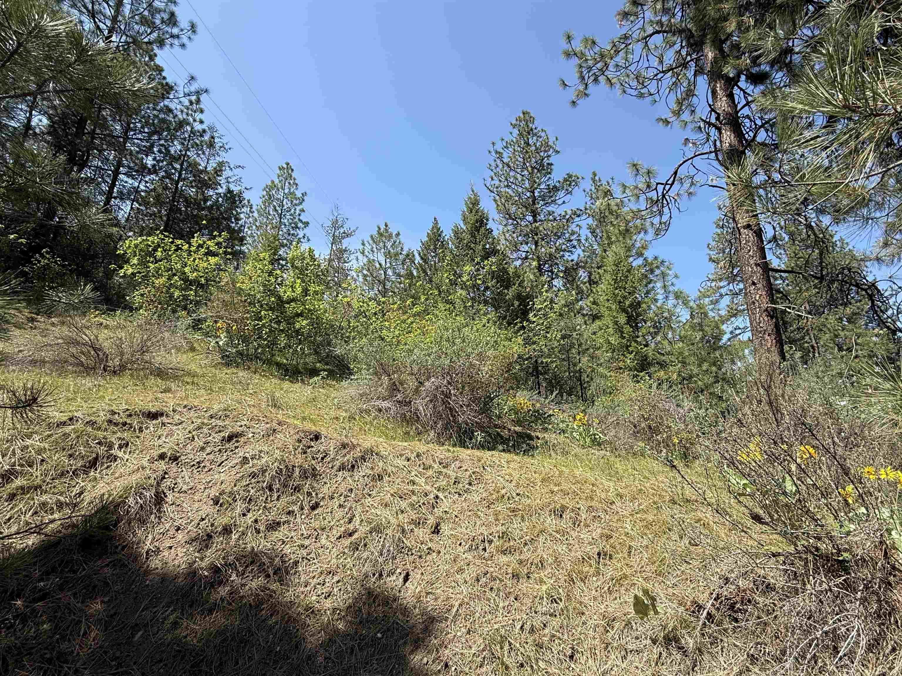 42078 N Porcupine Bay Rd - Photo 6