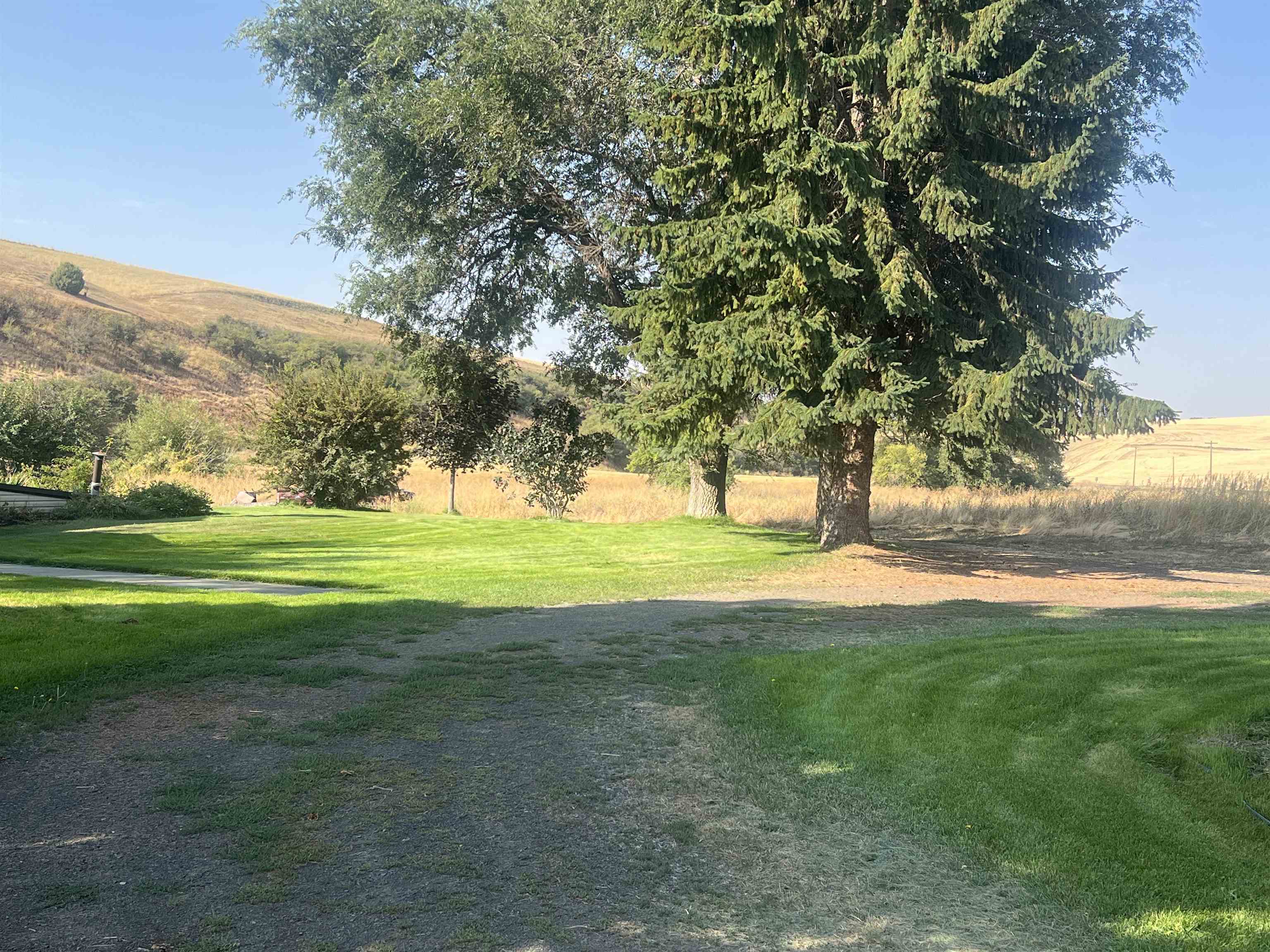 451 Sunset Rd - Photo 3