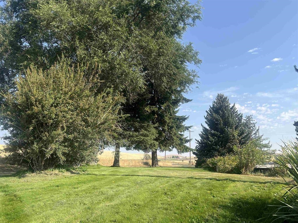 451 Sunset Rd - Photo 33