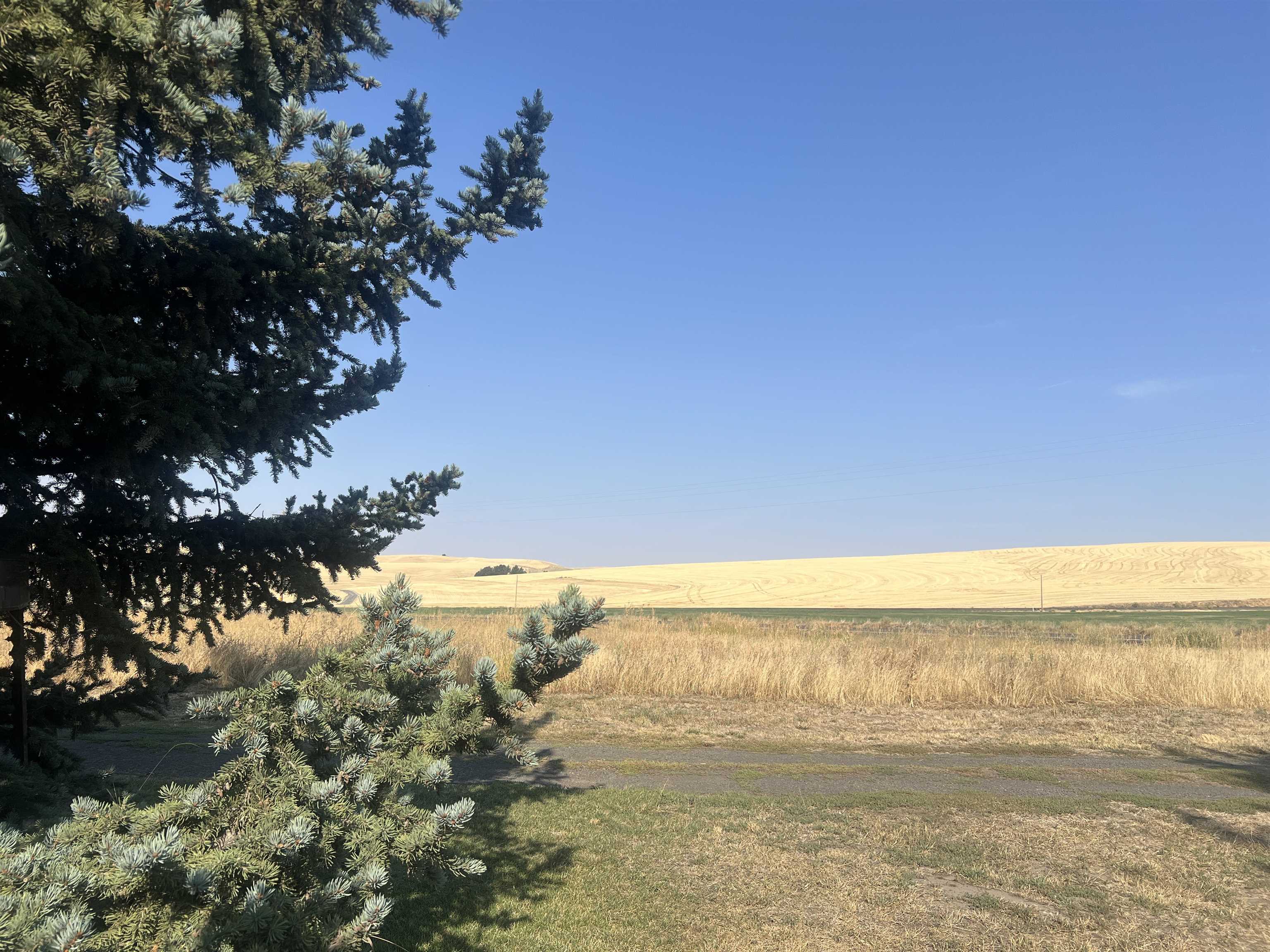 451 Sunset Rd - Photo 35